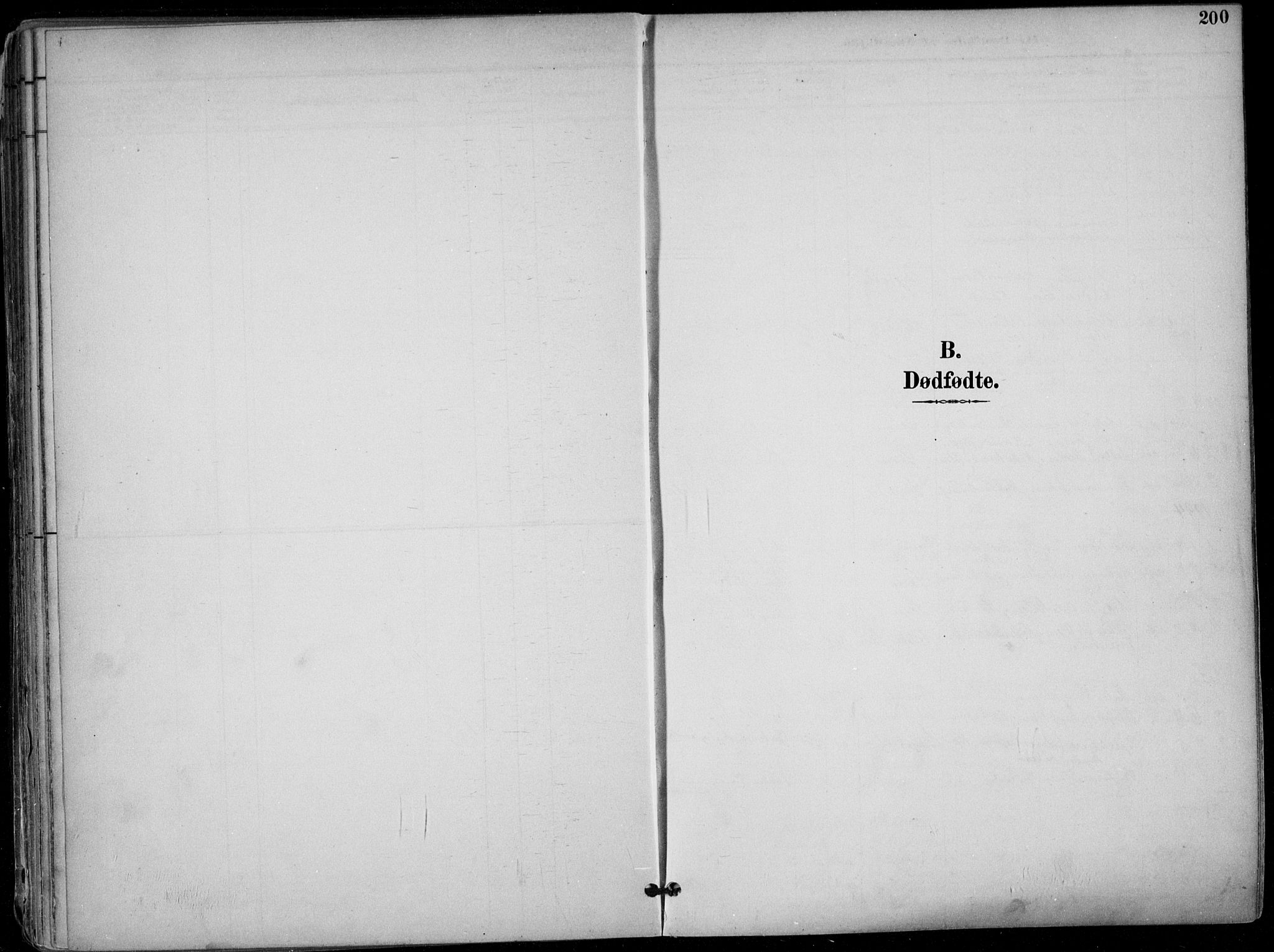 Skien kirkebøker, SAKO/A-302/F/Fa/L0010: Parish register (official) no. 10, 1891-1899, p. 200