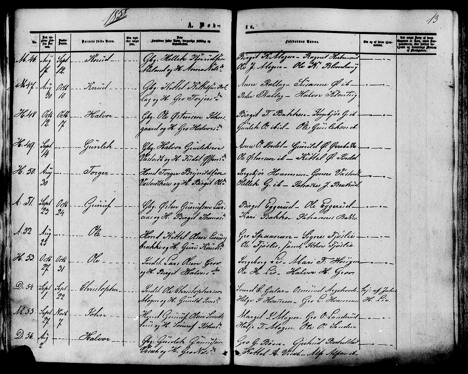 Tinn kirkebøker, AV/SAKO-A-308/F/Fa/L0006: Parish register (official) no. I 6, 1857-1878, p. 13