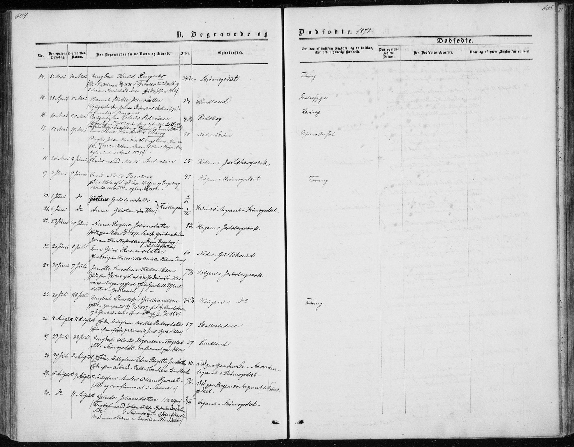 Skoger kirkebøker, AV/SAKO-A-59/F/Fa/L0004: Parish register (official) no. I 4, 1862-1872, p. 604-605