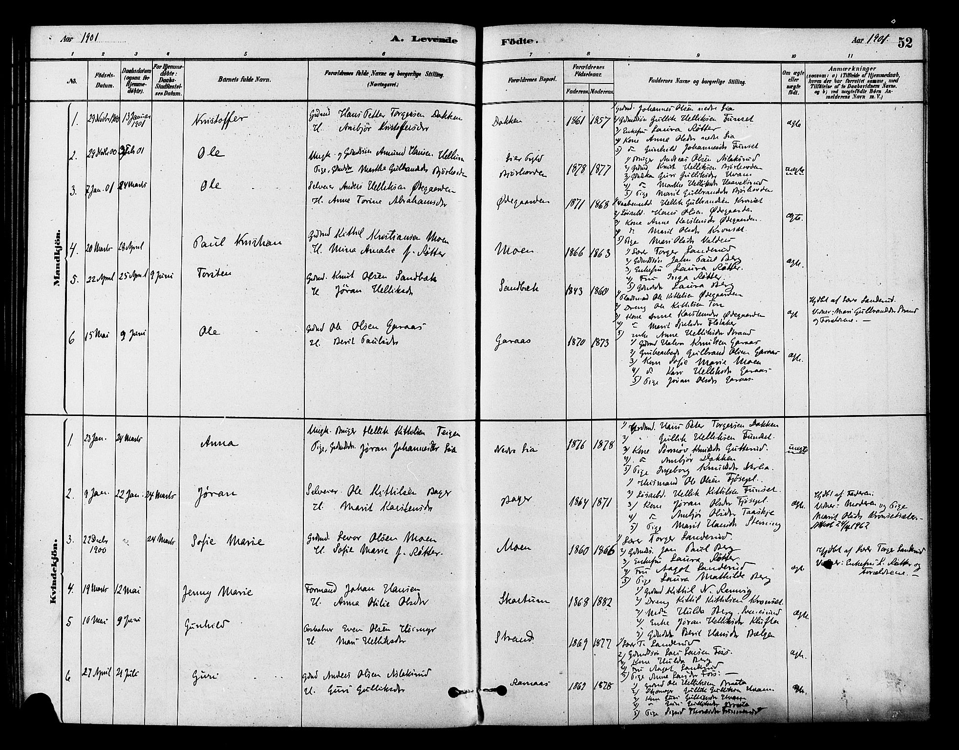 Flesberg kirkebøker, AV/SAKO-A-18/F/Fb/L0001: Parish register (official) no. II 1, 1879-1907, p. 52