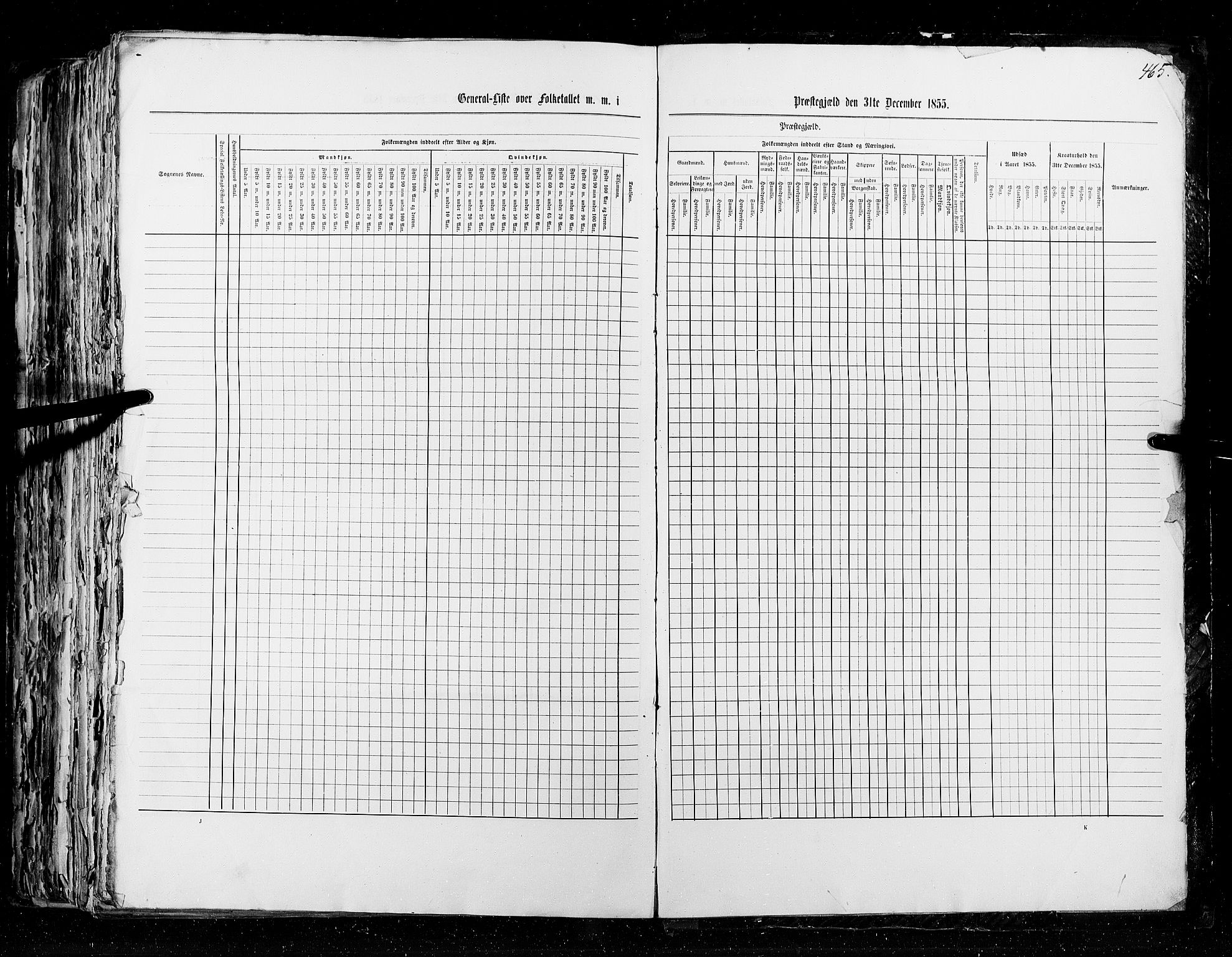 RA, Census 1855, vol. 5: Nordre Bergenhus amt, Romsdal amt og Søndre Trondhjem amt, 1855, p. 465