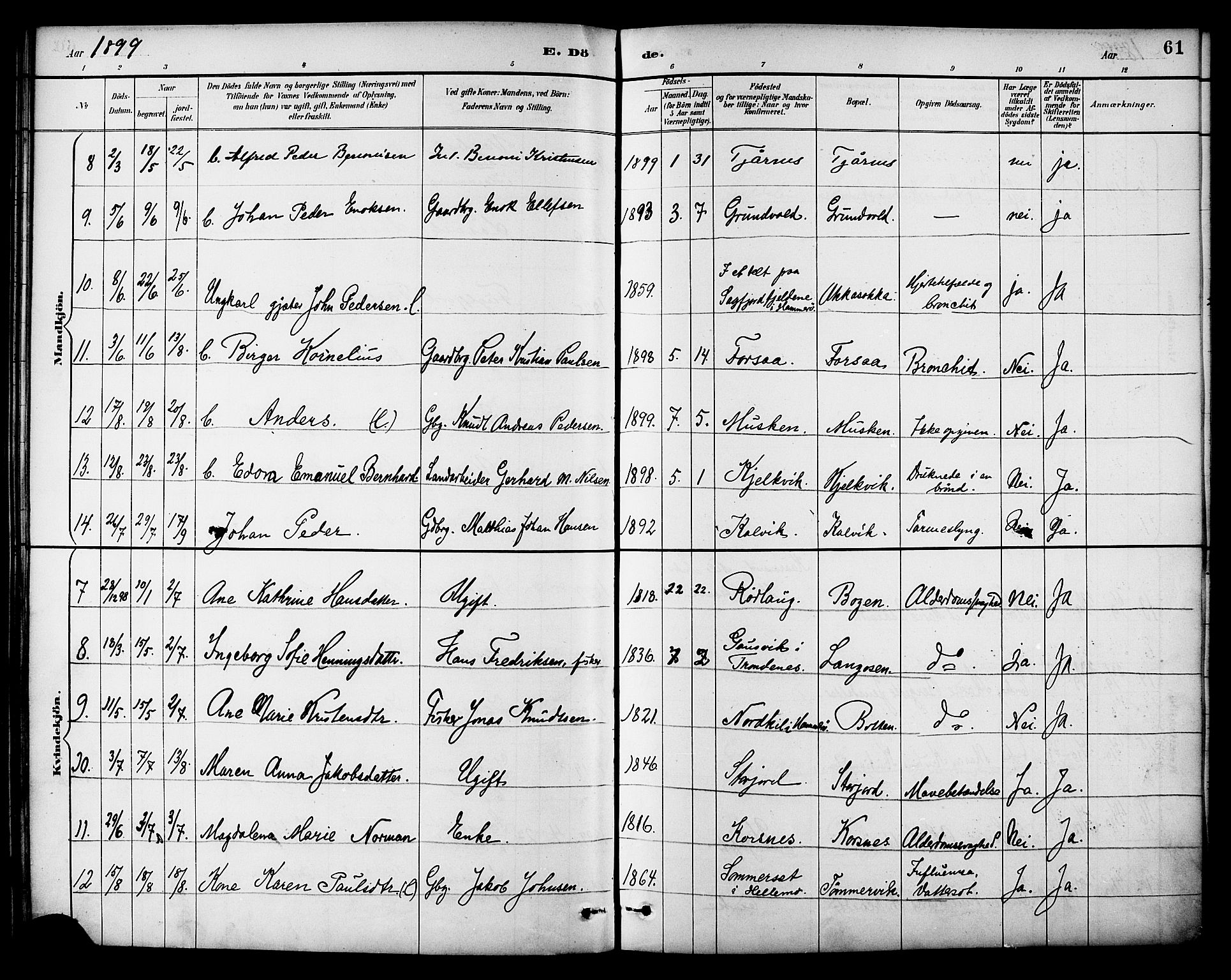 Ministerialprotokoller, klokkerbøker og fødselsregistre - Nordland, AV/SAT-A-1459/861/L0870: Parish register (official) no. 861A05, 1889-1903, p. 61