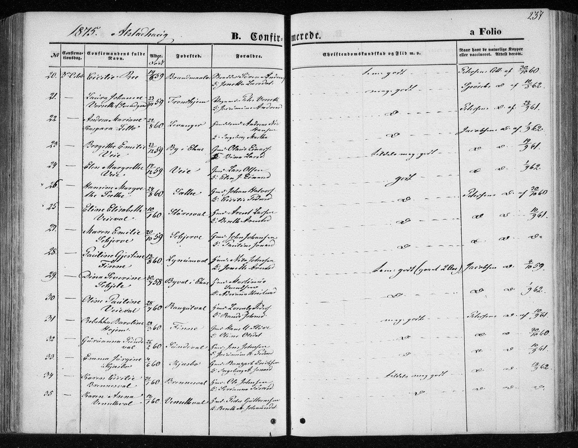 Ministerialprotokoller, klokkerbøker og fødselsregistre - Nord-Trøndelag, AV/SAT-A-1458/717/L0157: Parish register (official) no. 717A08 /1, 1863-1877, p. 237