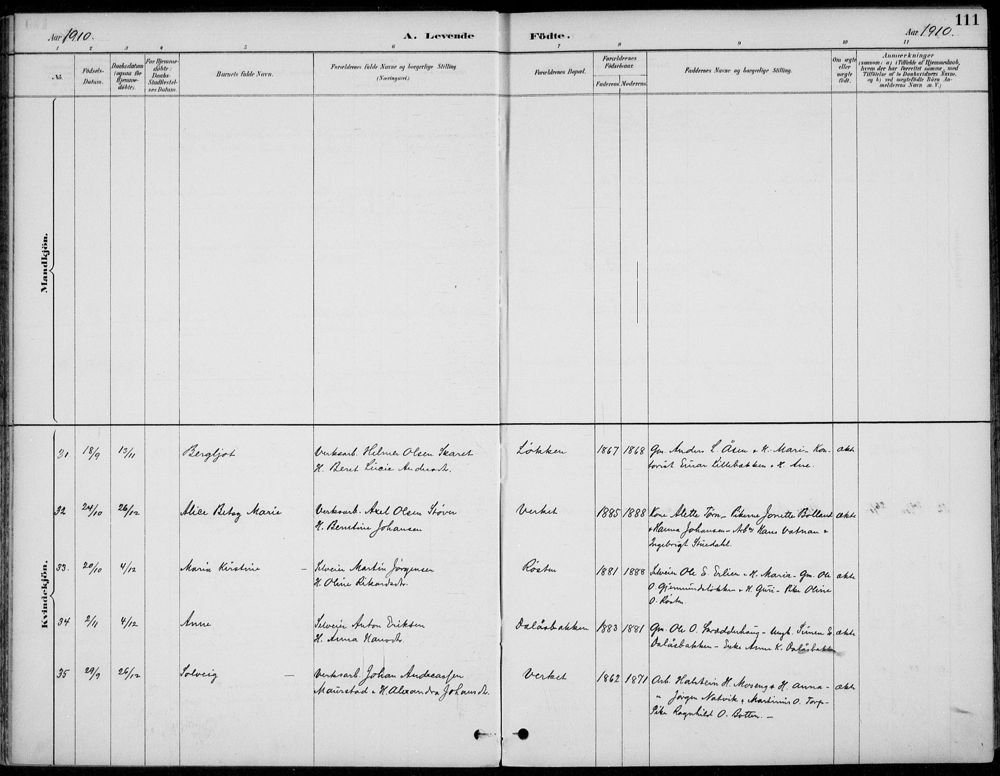 Alvdal prestekontor, AV/SAH-PREST-060/H/Ha/Haa/L0003: Parish register (official) no. 3, 1886-1912, p. 111