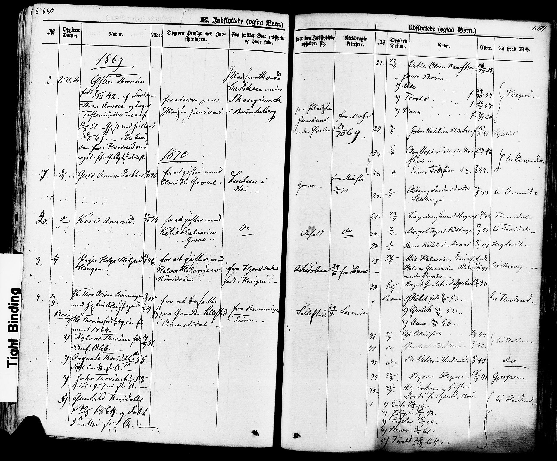 Seljord kirkebøker, SAKO/A-20/F/Fa/L0013: Parish register (official) no. I 13, 1866-1876, p. 660-661