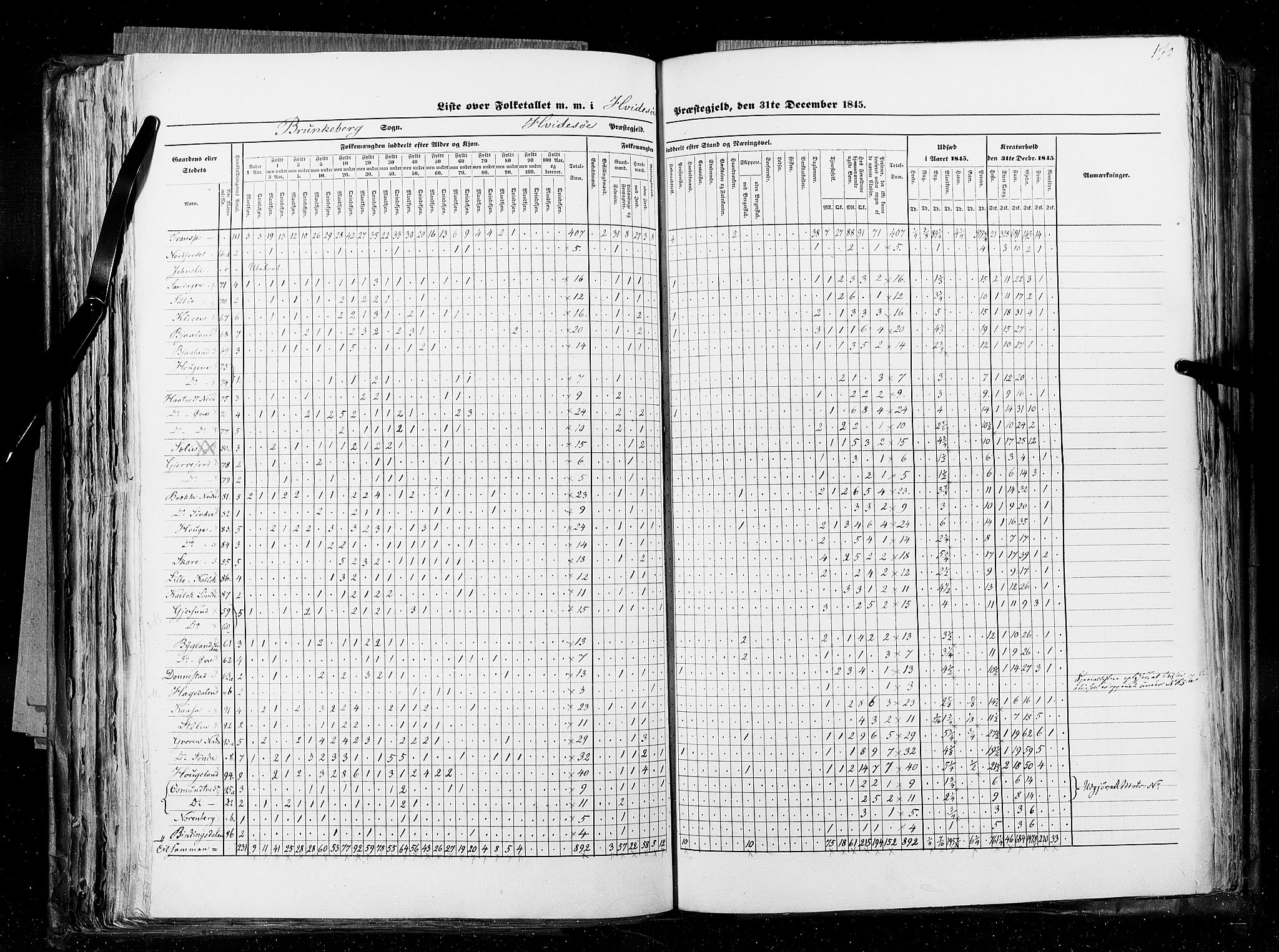 RA, Census 1845, vol. 5: Bratsberg amt og Nedenes og Råbyggelaget amt, 1845, p. 170