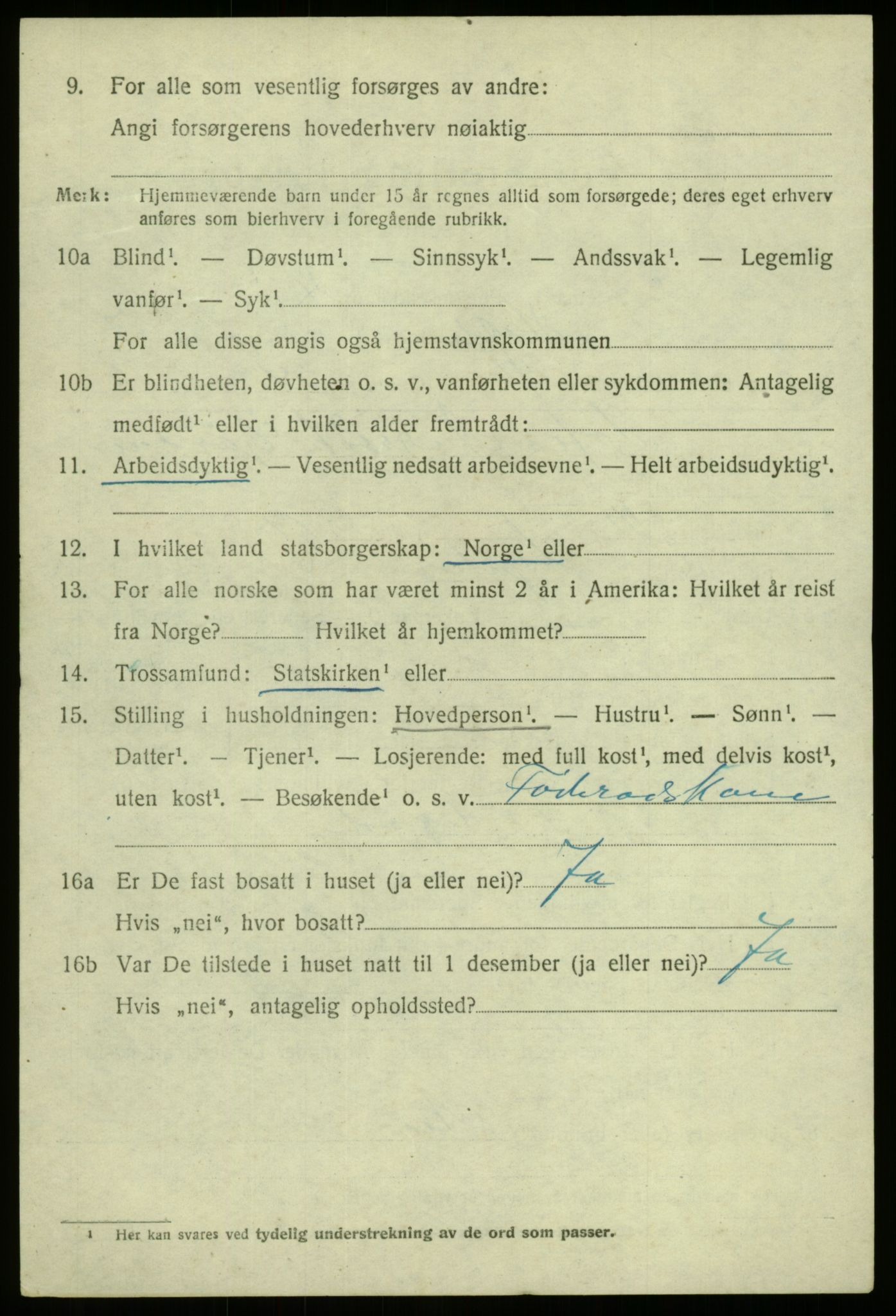 SAB, 1920 census for Hafslo, 1920, p. 5645