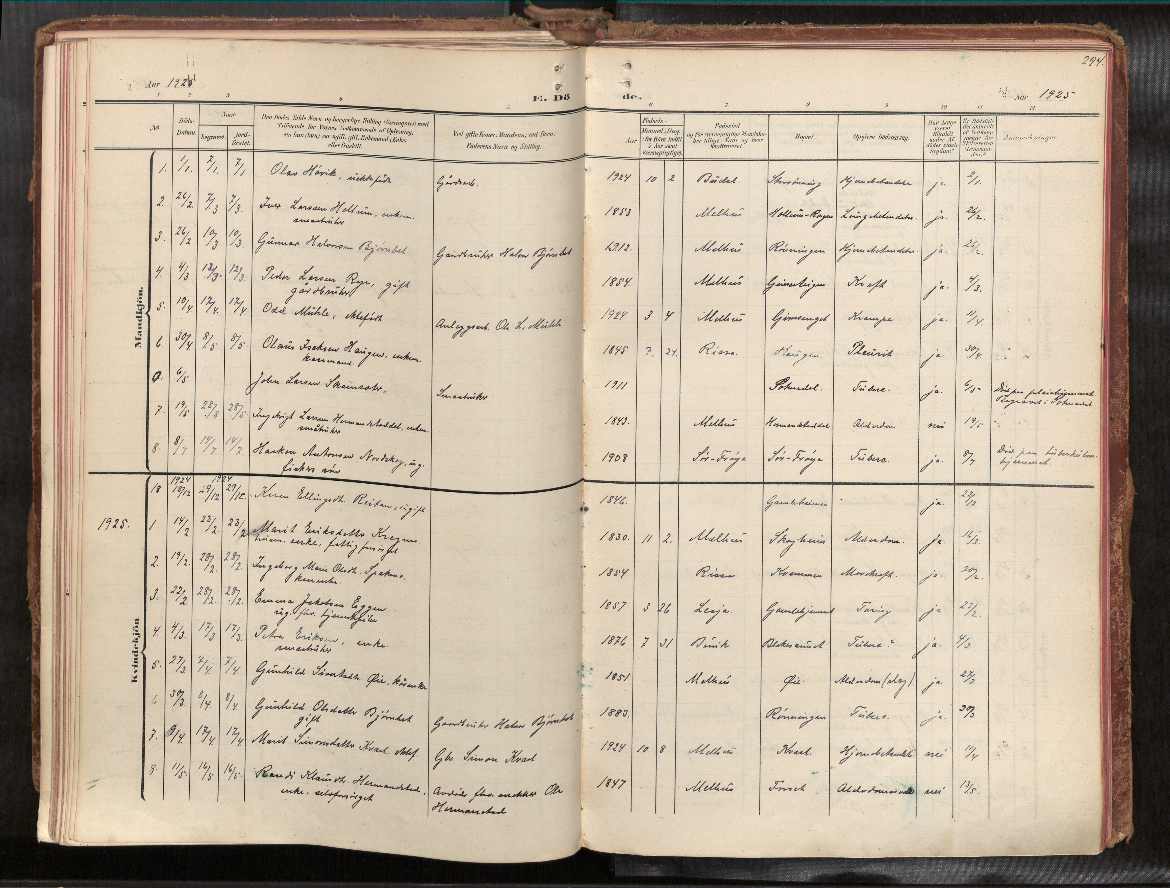 Ministerialprotokoller, klokkerbøker og fødselsregistre - Sør-Trøndelag, SAT/A-1456/691/L1085b: Parish register (official) no. 691A18, 1908-1930, p. 294