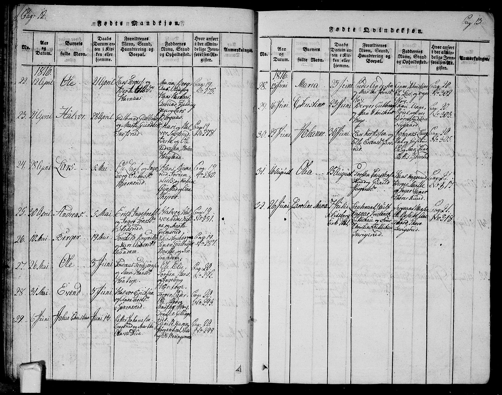 Trøgstad prestekontor Kirkebøker, AV/SAO-A-10925/G/Ga/L0001: Parish register (copy) no. I 1, 1815-1831, p. 12b-13a