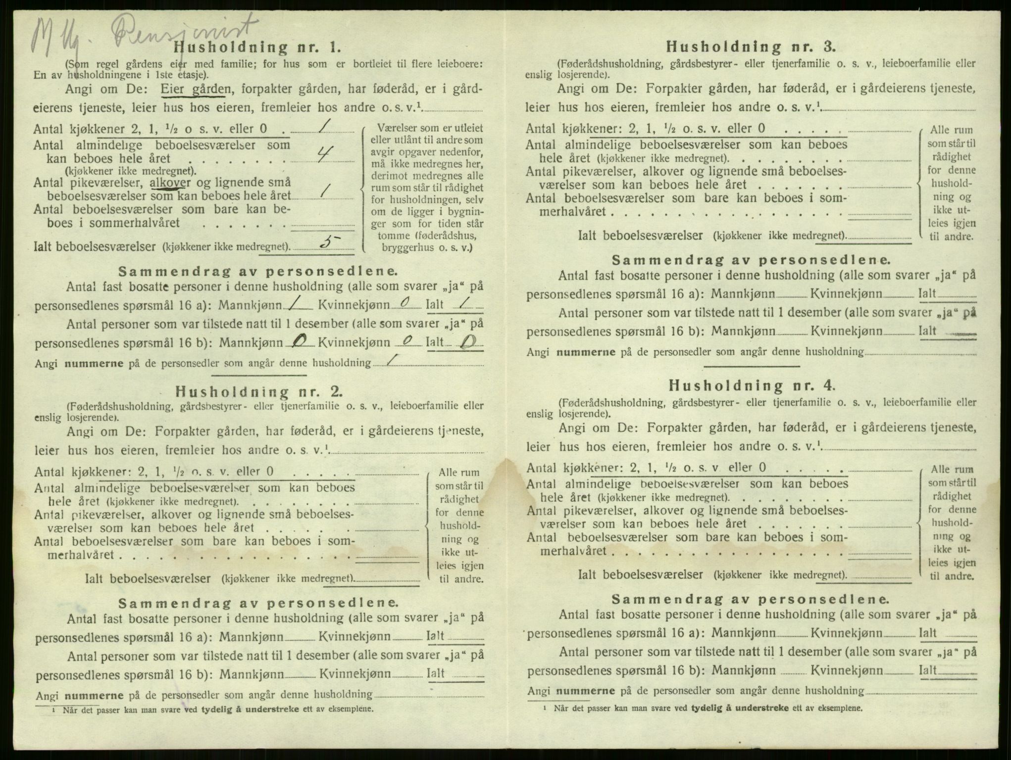 SAKO, 1920 census for Nøtterøy, 1920, p. 1508