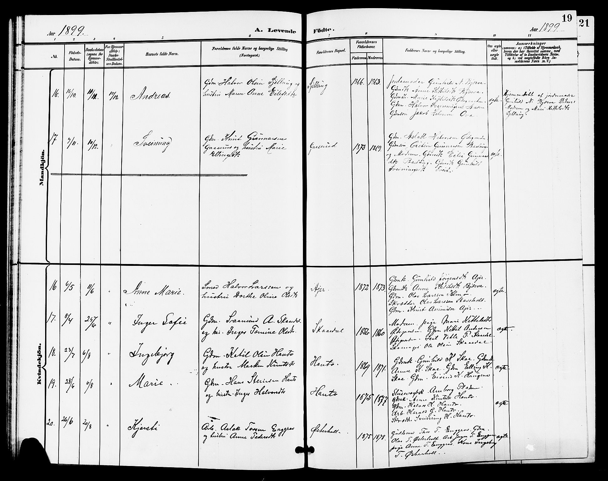 Lunde kirkebøker, AV/SAKO-A-282/G/Ga/L0003: Parish register (copy) no. I 3, 1896-1905, p. 19