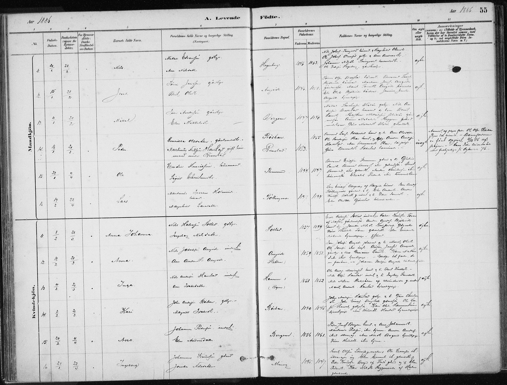 Ministerialprotokoller, klokkerbøker og fødselsregistre - Møre og Romsdal, AV/SAT-A-1454/586/L0987: Parish register (official) no. 586A13, 1879-1892, p. 55