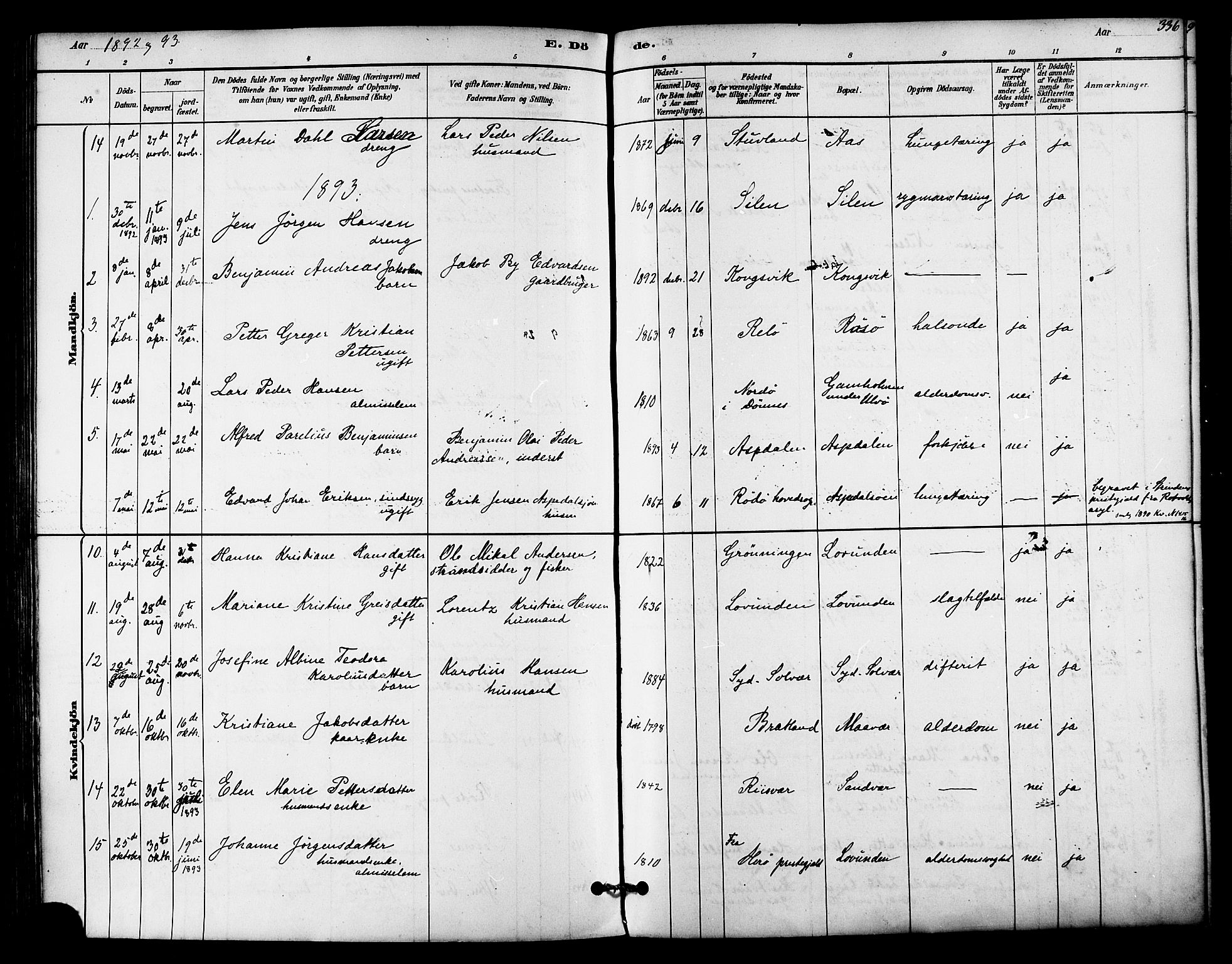 Ministerialprotokoller, klokkerbøker og fødselsregistre - Nordland, SAT/A-1459/839/L0568: Parish register (official) no. 839A05, 1880-1902, p. 336