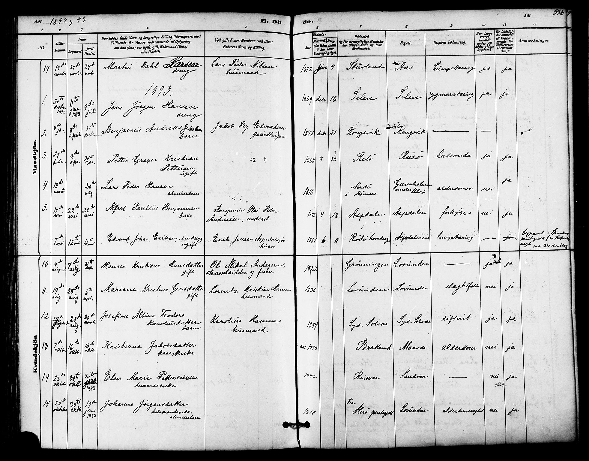 Ministerialprotokoller, klokkerbøker og fødselsregistre - Nordland, AV/SAT-A-1459/839/L0568: Parish register (official) no. 839A05, 1880-1902, p. 336