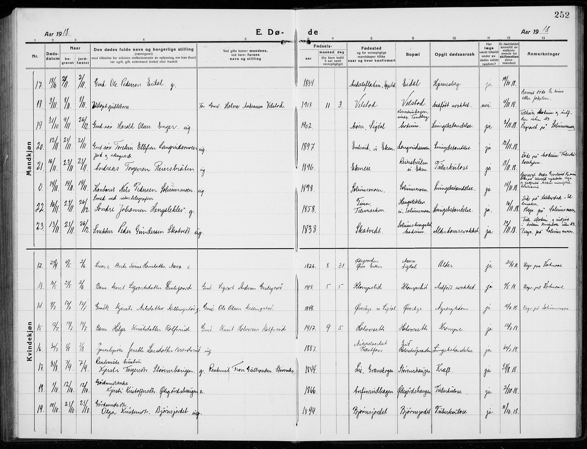 Sigdal kirkebøker, AV/SAKO-A-245/G/Ga/L0007: Parish register (copy) no. I 7, 1917-1935, p. 252