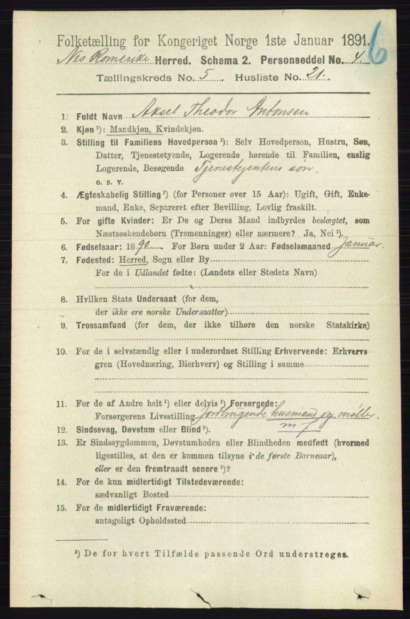 RA, 1891 census for 0236 Nes, 1891, p. 2908
