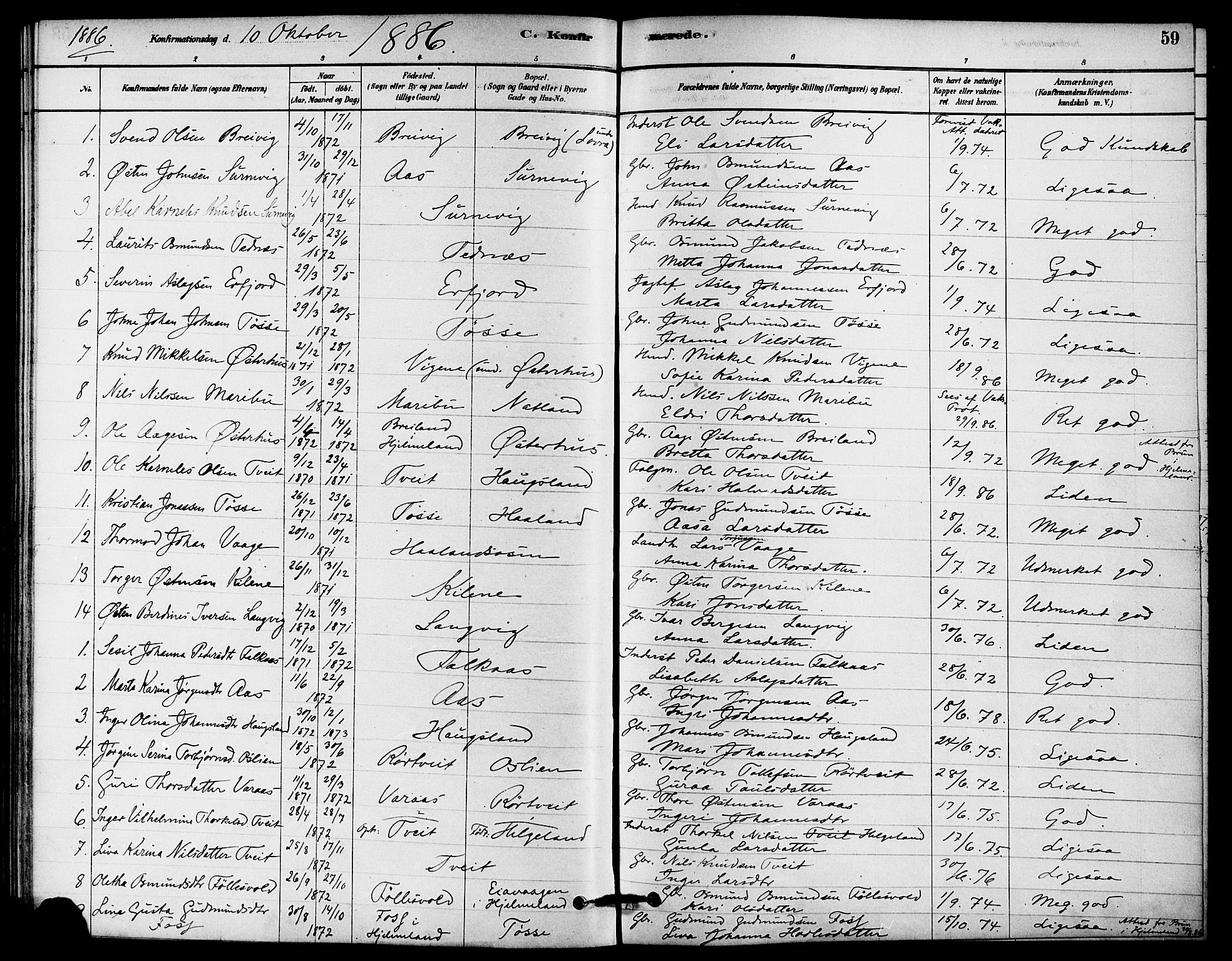 Jelsa sokneprestkontor, SAST/A-101842/01/IV: Parish register (official) no. A 9, 1878-1898, p. 59