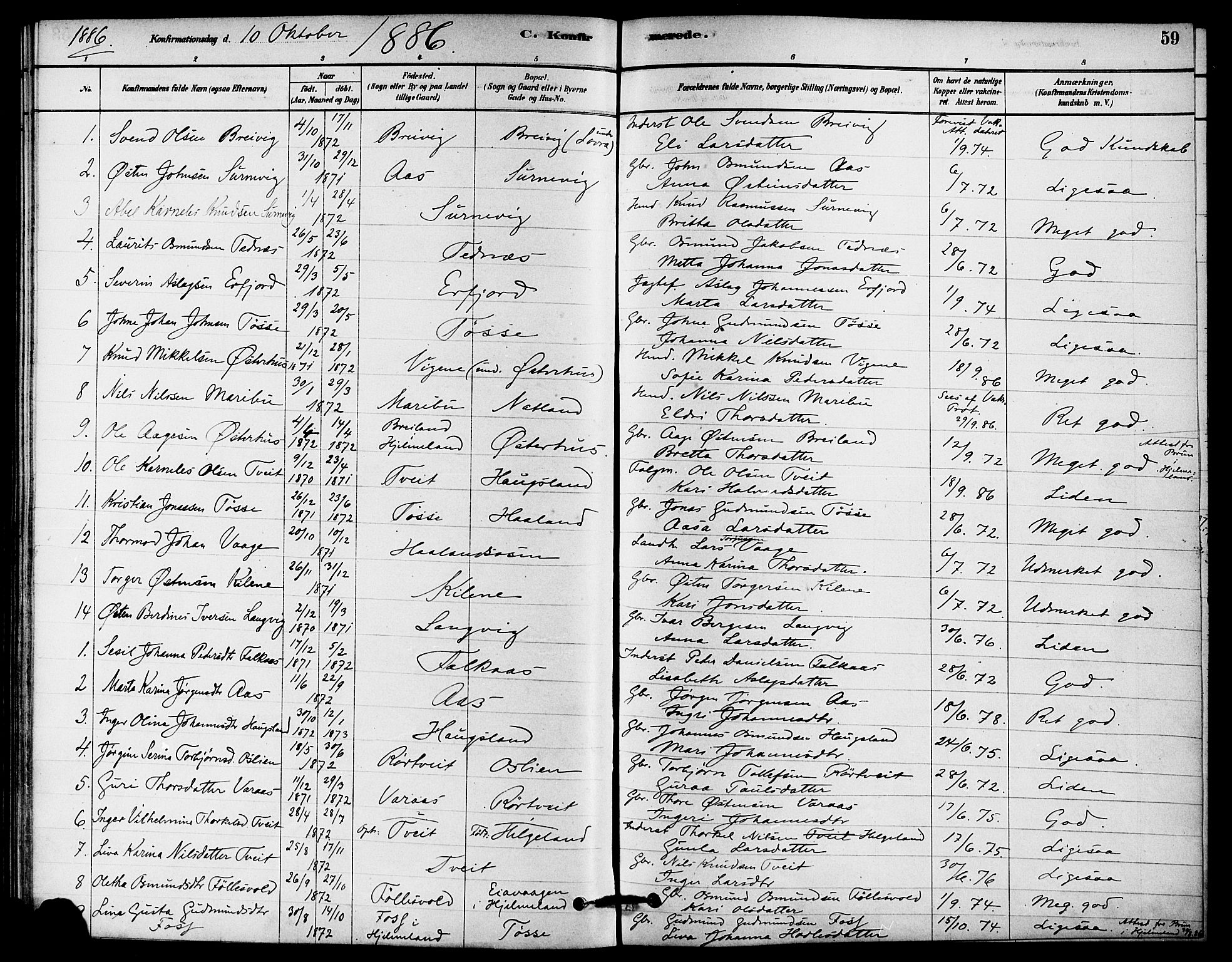 Jelsa sokneprestkontor, AV/SAST-A-101842/01/IV: Parish register (official) no. A 9, 1878-1898, p. 59