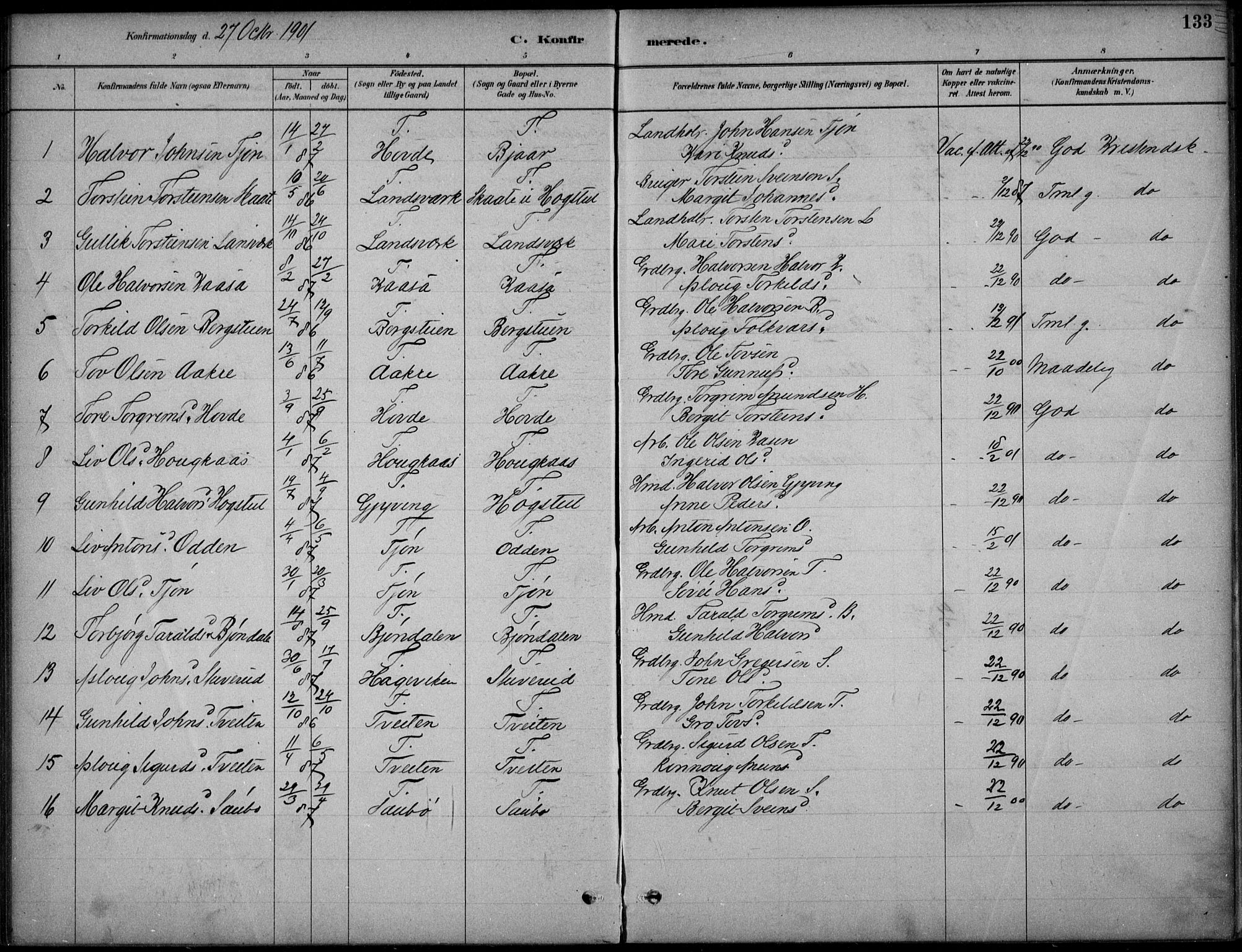 Hjartdal kirkebøker, AV/SAKO-A-270/F/Fc/L0002: Parish register (official) no. III 2, 1880-1936, p. 133