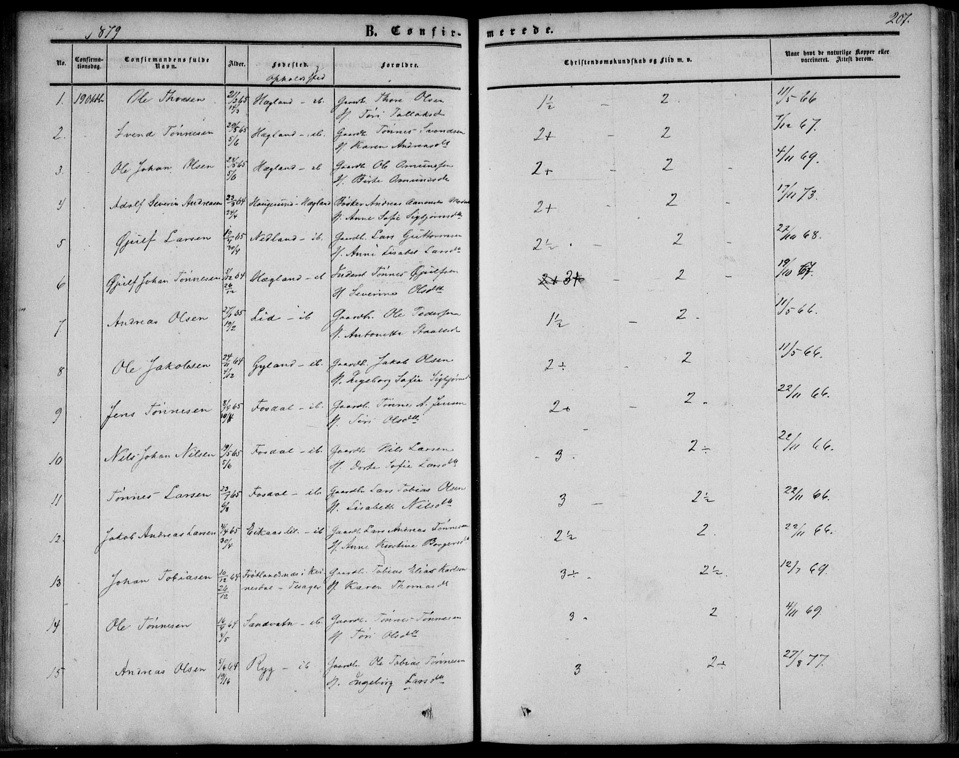 Bakke sokneprestkontor, SAK/1111-0002/F/Fa/Fab/L0002: Parish register (official) no. A 2, 1855-1884, p. 207