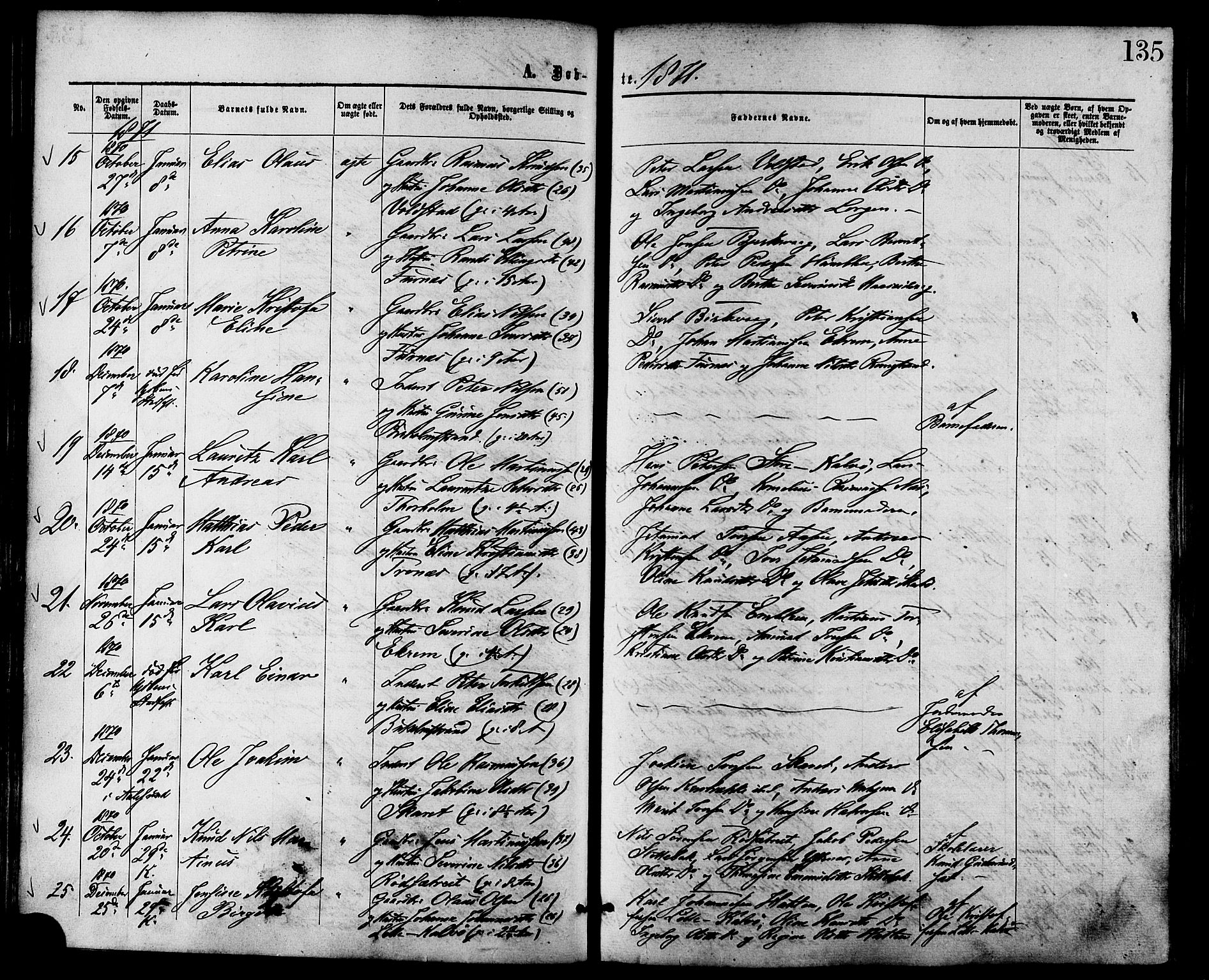 Ministerialprotokoller, klokkerbøker og fødselsregistre - Møre og Romsdal, AV/SAT-A-1454/528/L0399: Parish register (official) no. 528A10, 1864-1879, p. 135