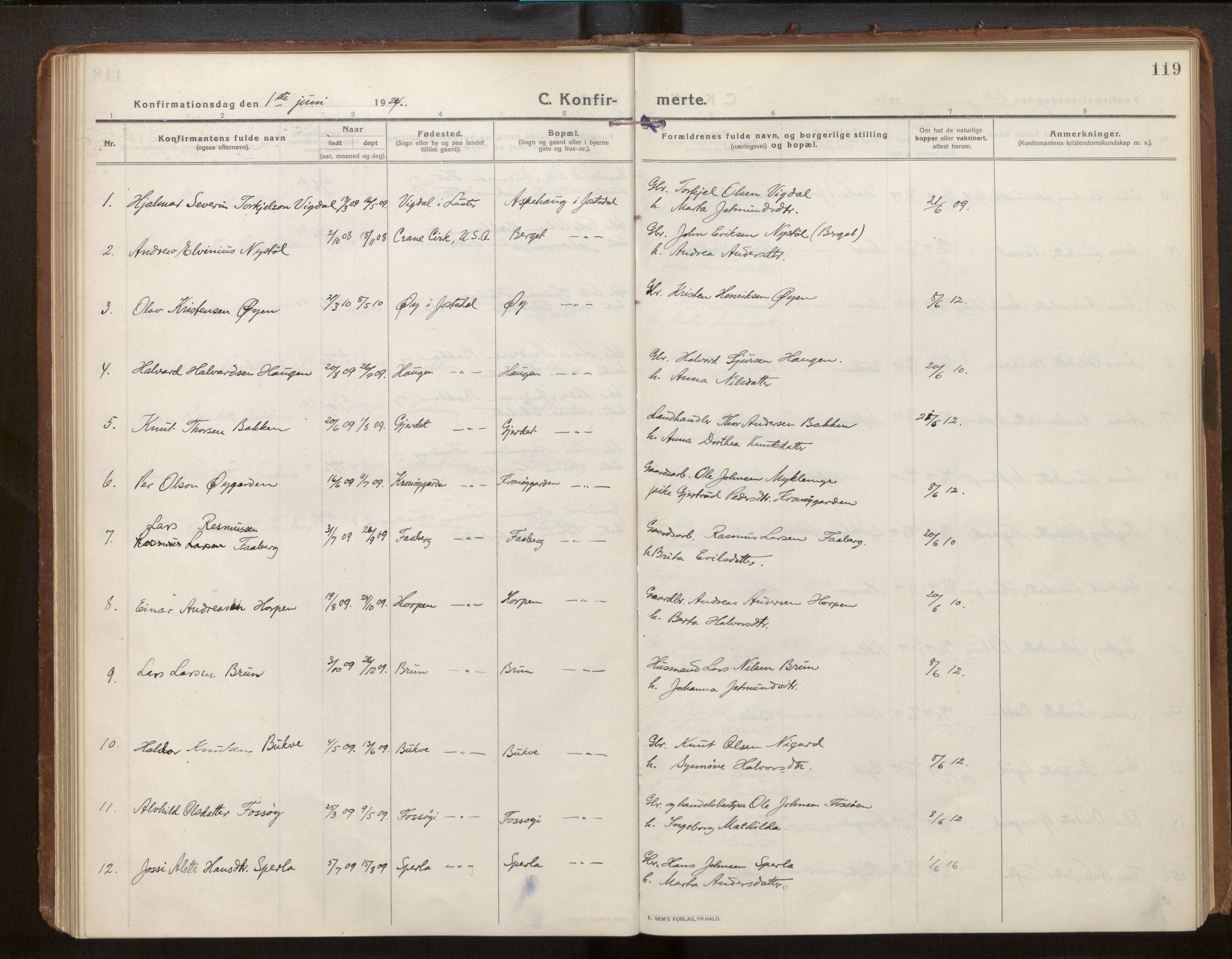 Jostedal sokneprestembete, AV/SAB-A-80601/H/Haa/Haab/L0002: Parish register (official) no. B 2, 1915-1931, p. 119