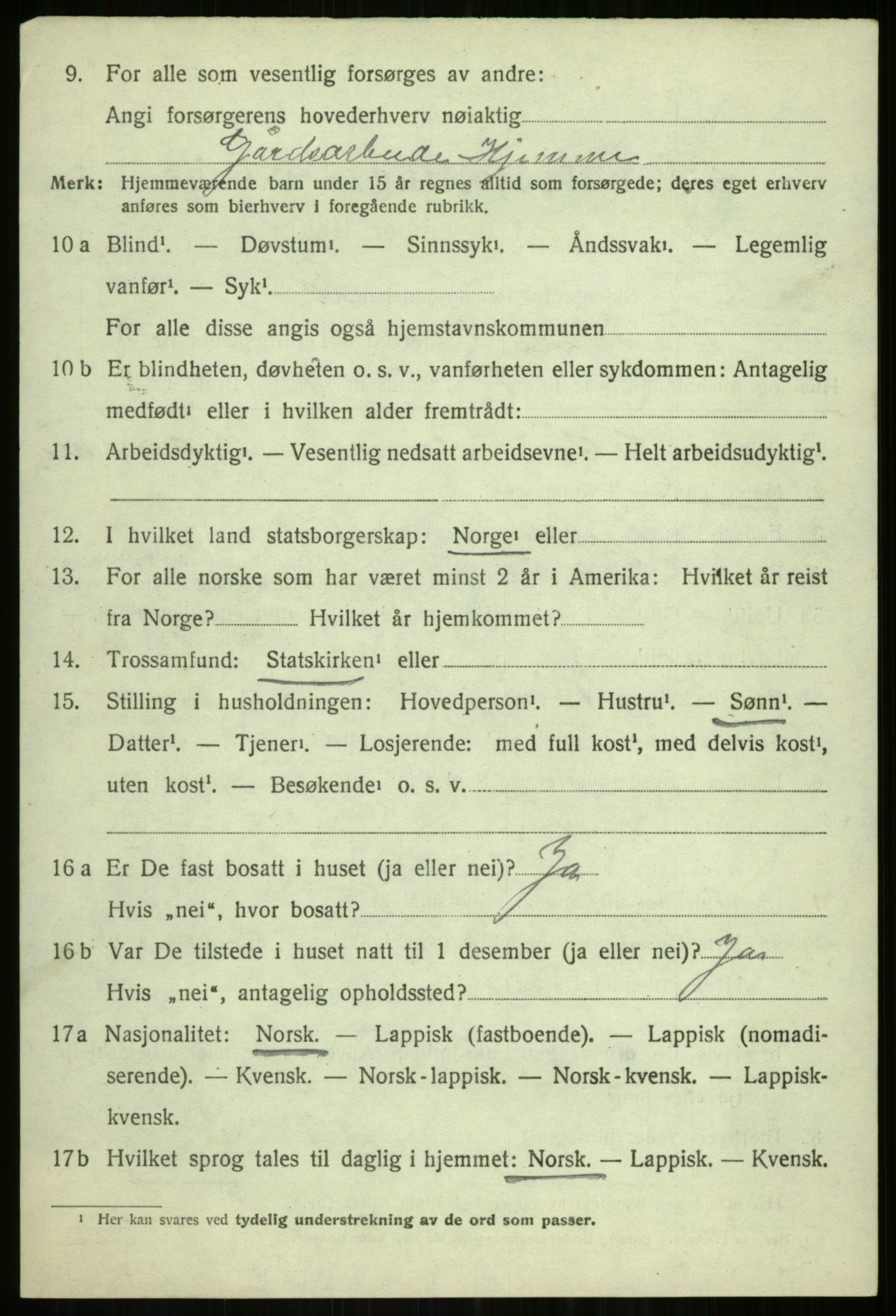 SATØ, 1920 census for Tromsøysund, 1920, p. 2807
