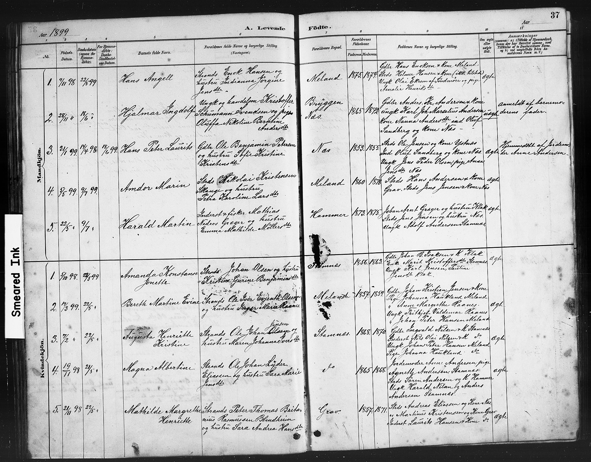 Ministerialprotokoller, klokkerbøker og fødselsregistre - Nordland, AV/SAT-A-1459/808/L0131: Parish register (copy) no. 808C02, 1879-1919, p. 37