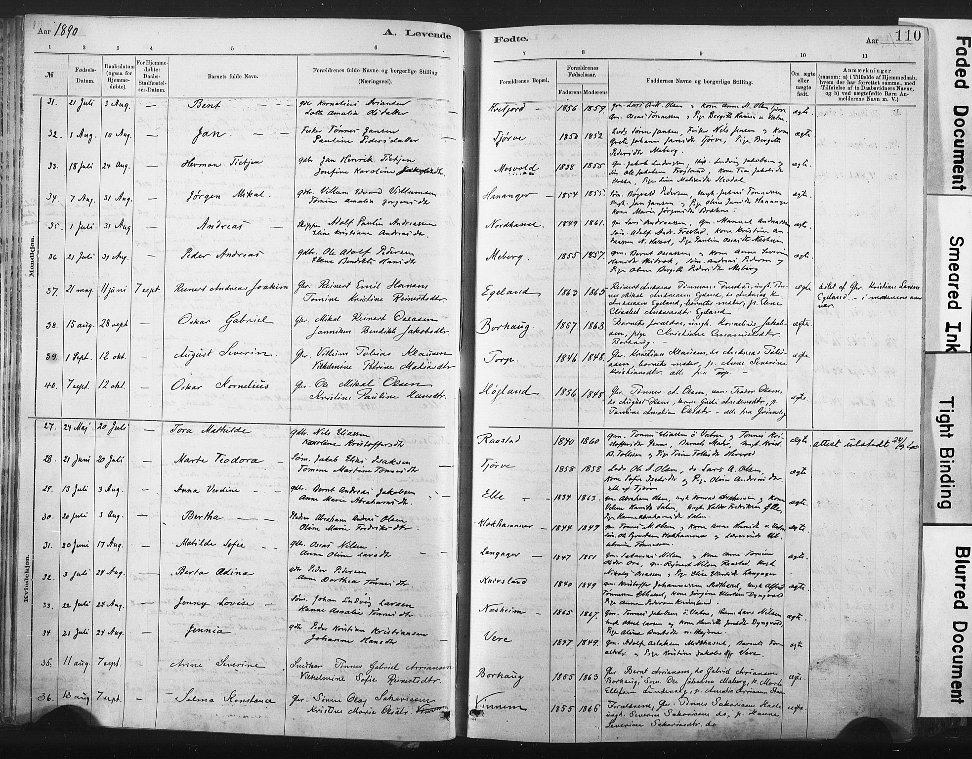 Lista sokneprestkontor, AV/SAK-1111-0027/F/Fa/L0012: Parish register (official) no. A 12, 1879-1903, p. 110