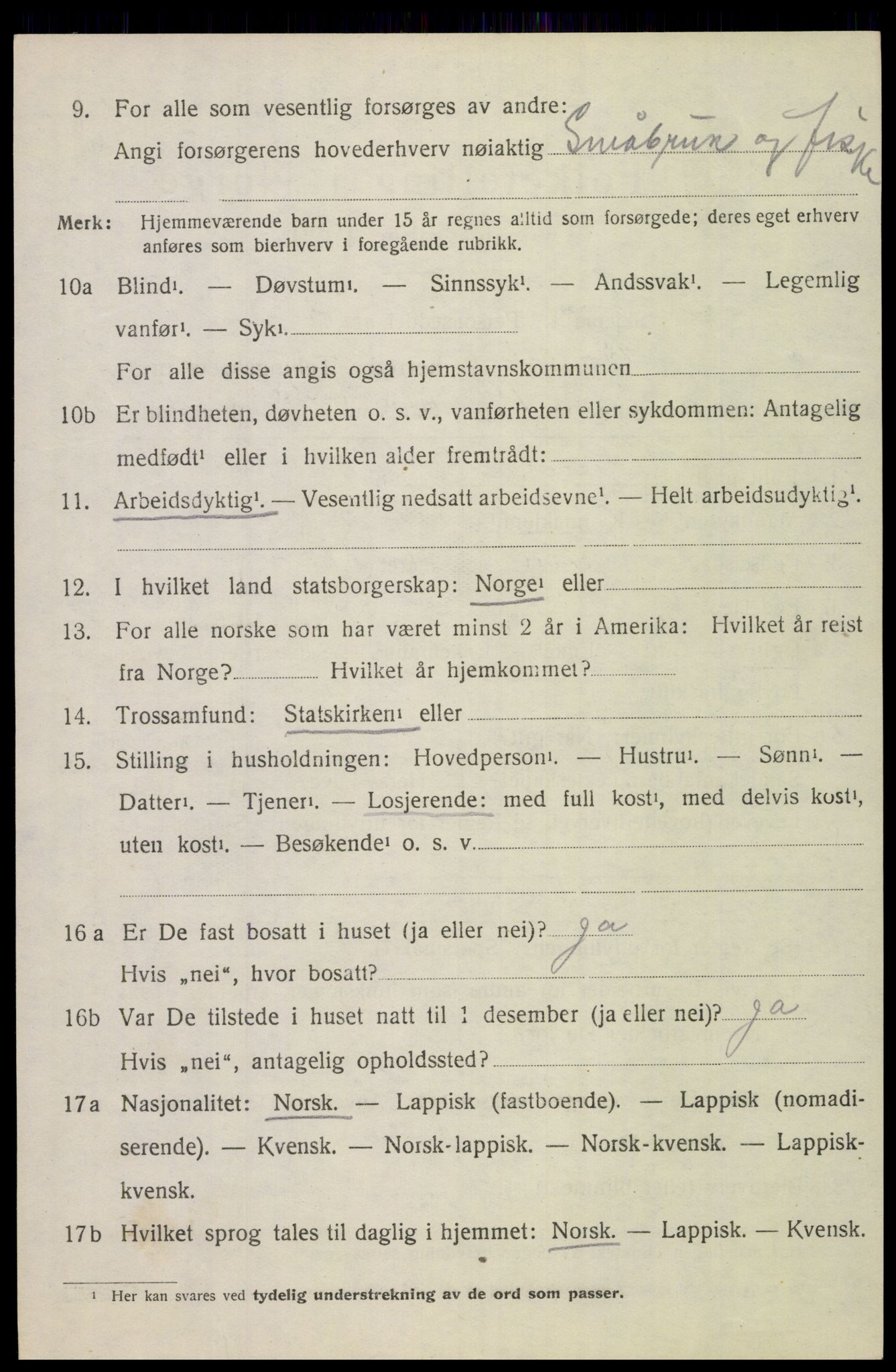 SAT, 1920 census for Bodin, 1920, p. 13027