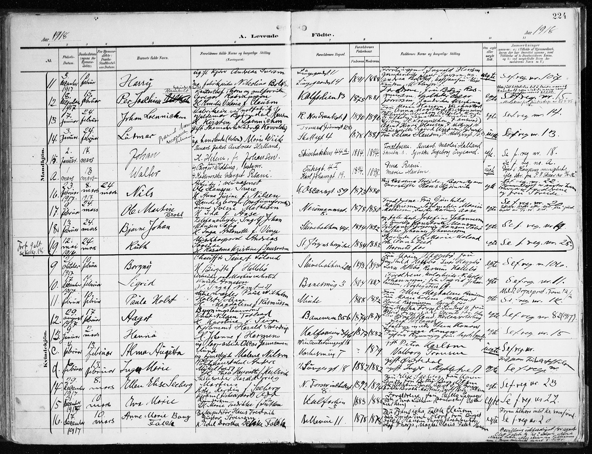 Domkirken sokneprestembete, SAB/A-74801/H/Haa/L0025: Parish register (official) no. B 8, 1903-1925, p. 224
