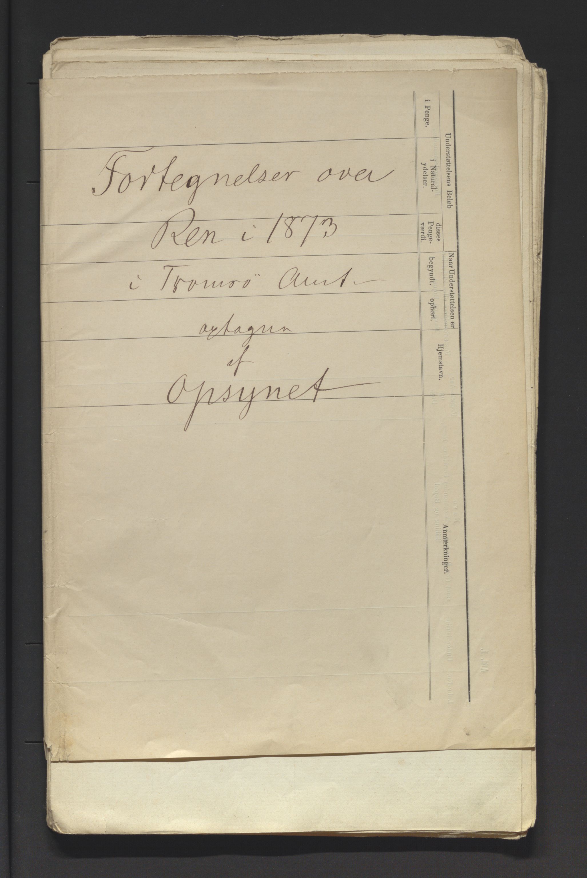 Fylkesmannen i Troms, SATØ/S-0001/A7.46/L2460/0001: Samiske saker / Lappevesenet - årsberetninger, 1867-1877, p. 203