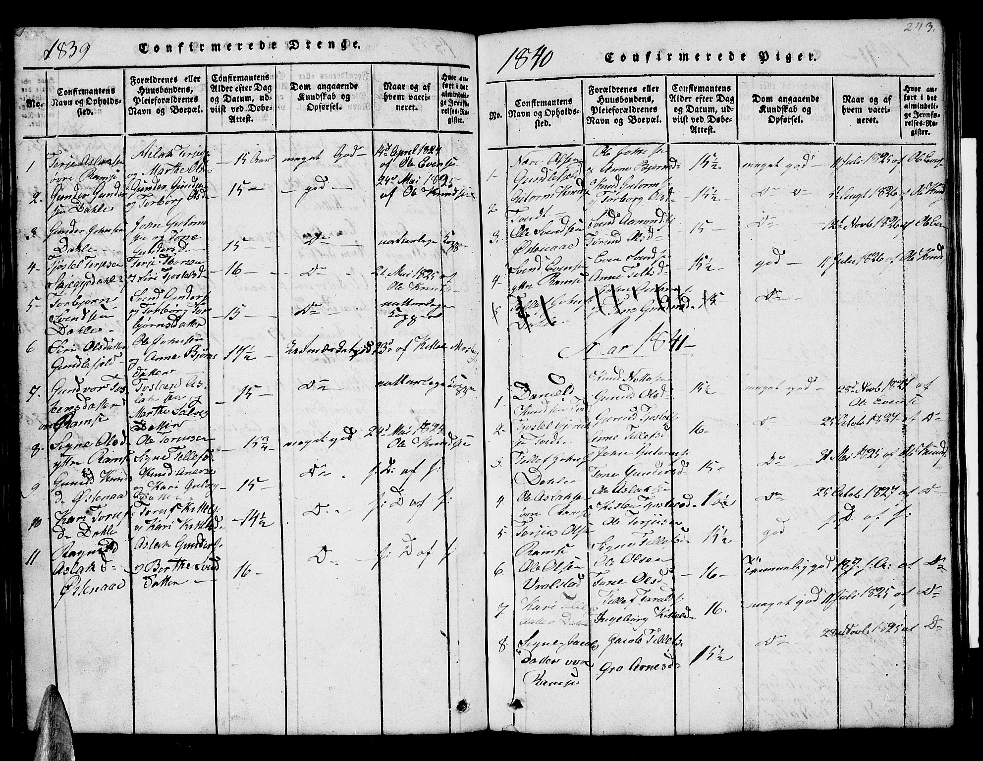 Åmli sokneprestkontor, AV/SAK-1111-0050/F/Fb/Fbb/L0001: Parish register (copy) no. B 1, 1816-1889, p. 243