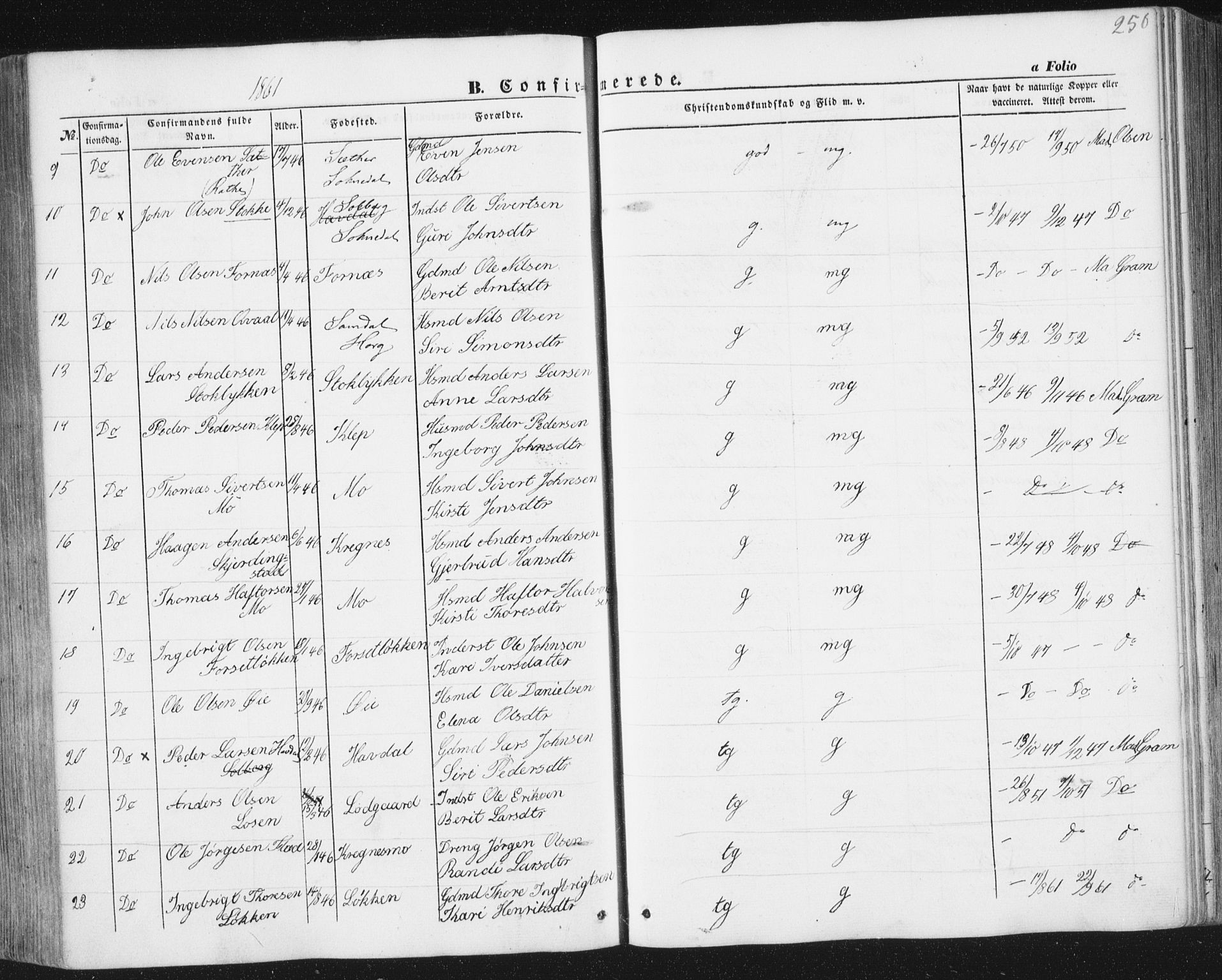 Ministerialprotokoller, klokkerbøker og fødselsregistre - Sør-Trøndelag, AV/SAT-A-1456/691/L1076: Parish register (official) no. 691A08, 1852-1861, p. 250