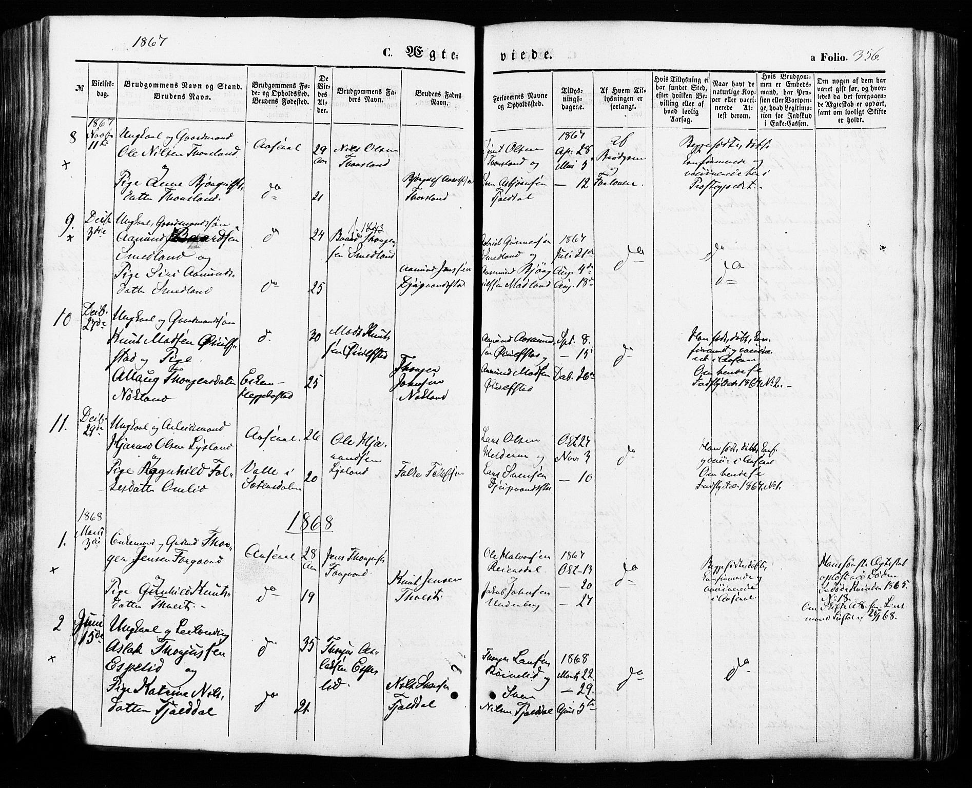 Åseral sokneprestkontor, AV/SAK-1111-0051/F/Fa/L0002: Parish register (official) no. A 2, 1854-1884, p. 356