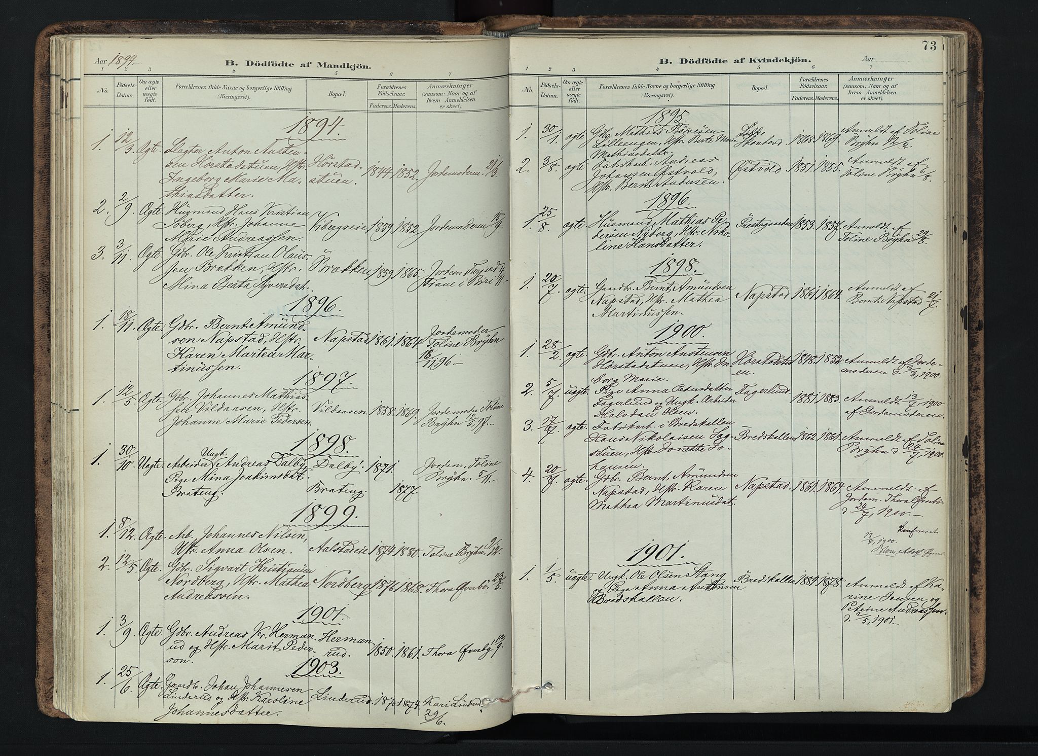 Vardal prestekontor, SAH/PREST-100/H/Ha/Haa/L0019: Parish register (official) no. 19, 1893-1907, p. 73
