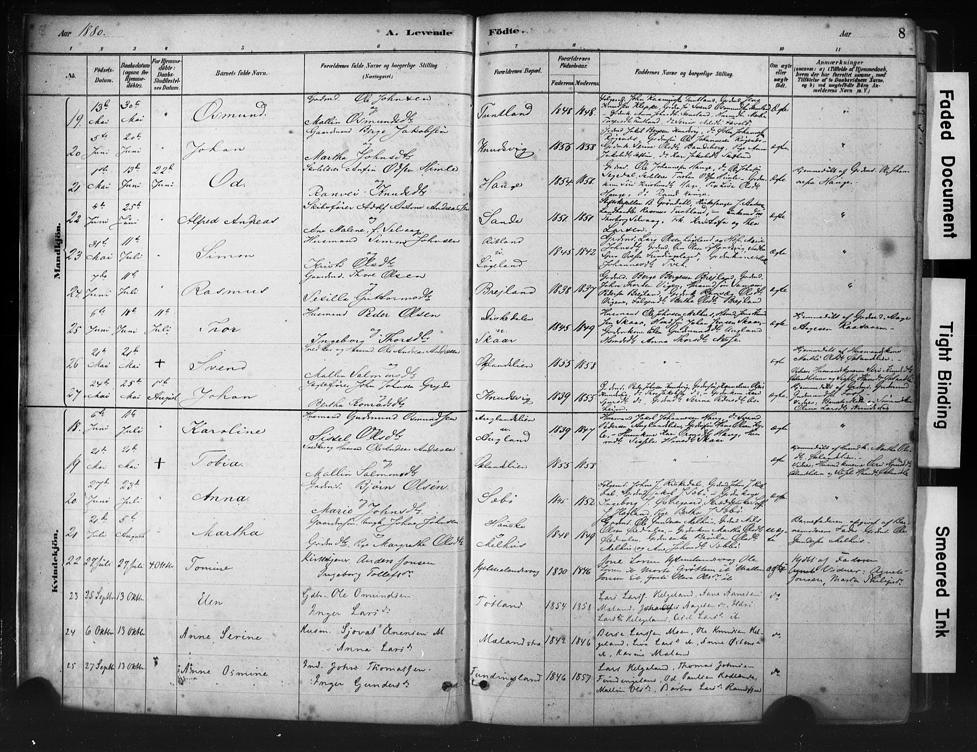 Hjelmeland sokneprestkontor, AV/SAST-A-101843/01/IV/L0014: Parish register (official) no. A 14, 1879-1900, p. 8