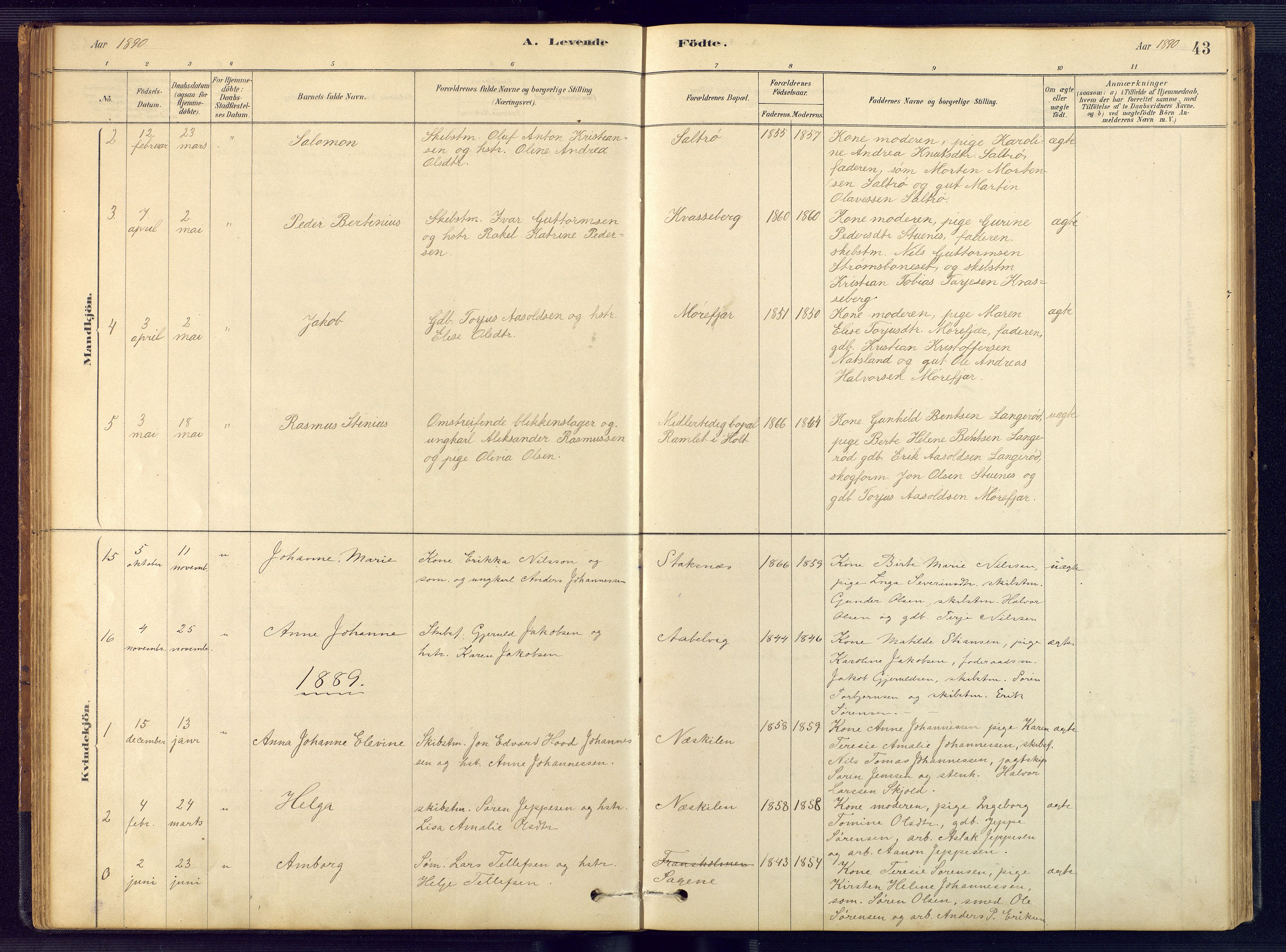 Austre Moland sokneprestkontor, AV/SAK-1111-0001/F/Fb/Fbb/L0001: Parish register (copy) no. B 1, 1878-1904, p. 43