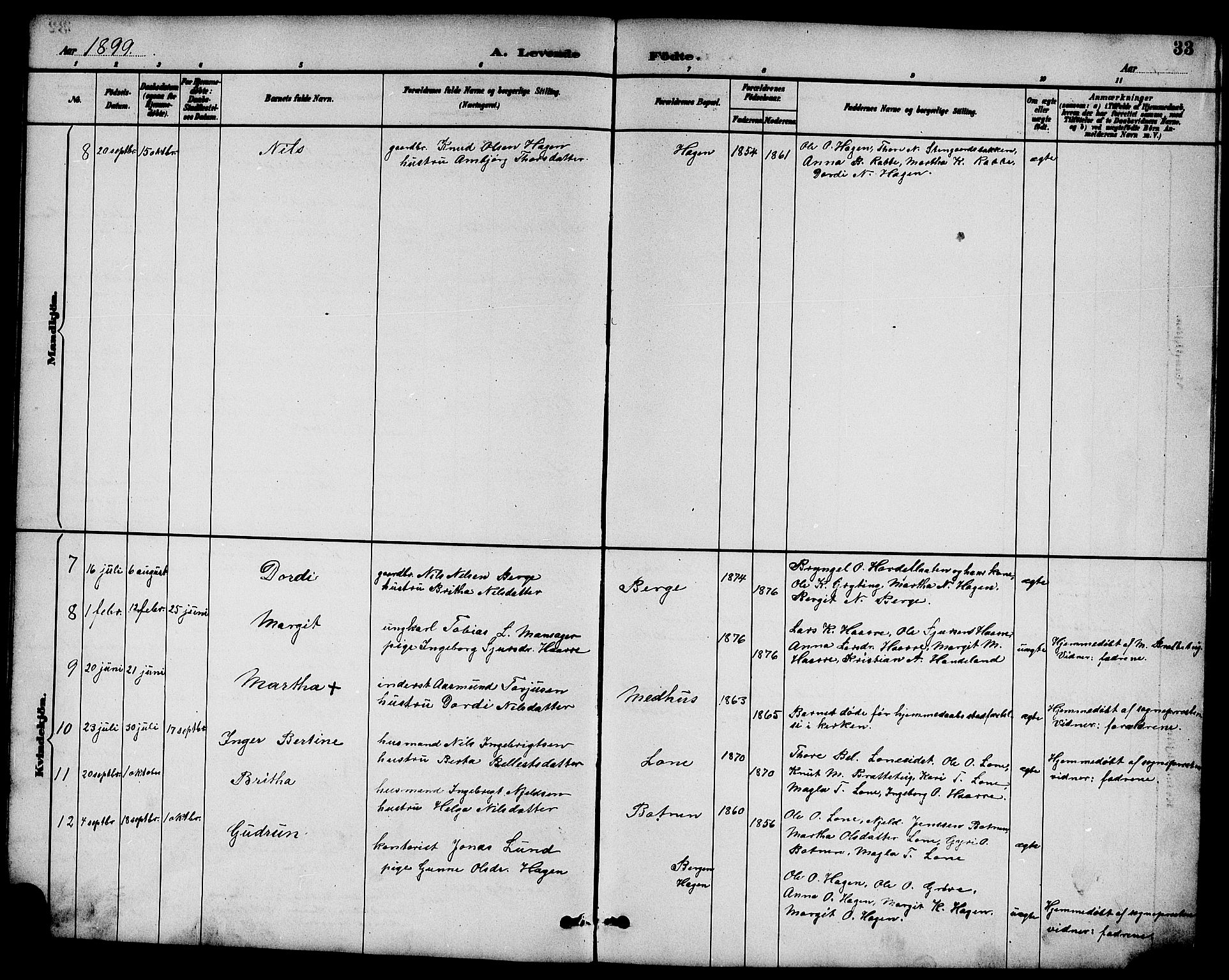Røldal sokneprestembete, SAB/A-100247: Parish register (copy) no. A 3, 1887-1917, p. 33