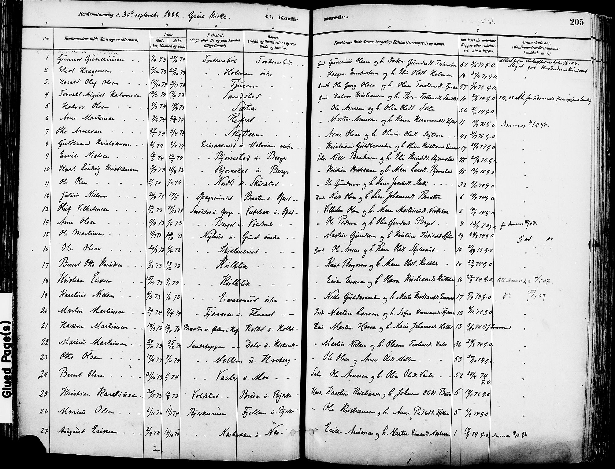 Grue prestekontor, SAH/PREST-036/H/Ha/Haa/L0012: Parish register (official) no. 12, 1881-1897, p. 205