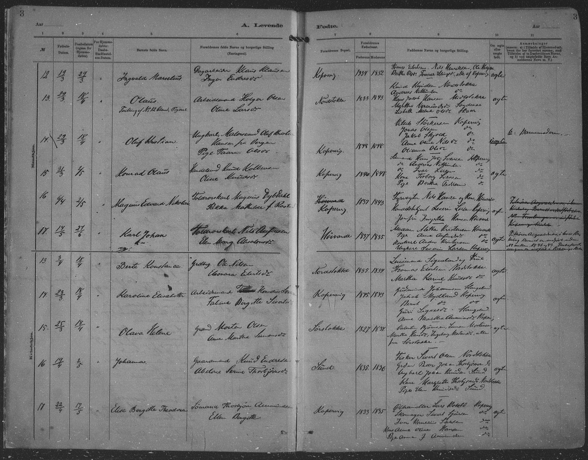 Kopervik sokneprestkontor, AV/SAST-A-101850/H/Ha/Haa/L0001: Parish register (official) no. A 1, 1880-1919, p. 3