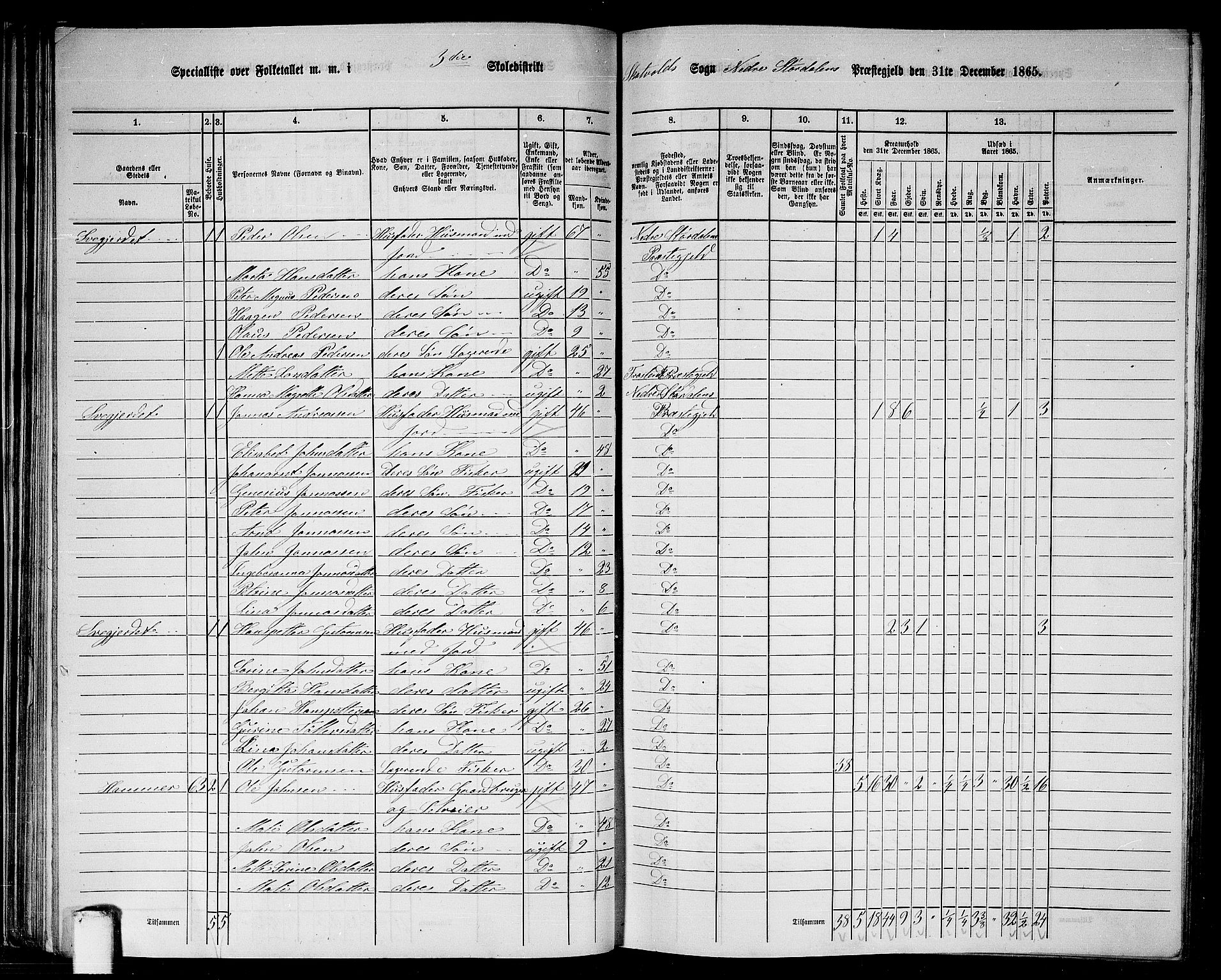 RA, 1865 census for Nedre Stjørdal, 1865, p. 54