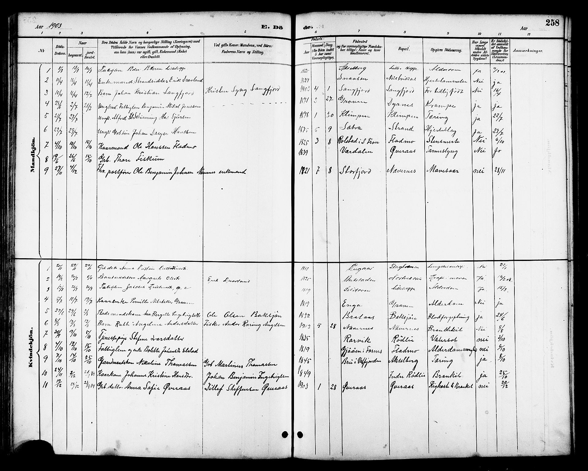 Ministerialprotokoller, klokkerbøker og fødselsregistre - Nordland, AV/SAT-A-1459/814/L0230: Parish register (copy) no. 814C03, 1884-1911, p. 258