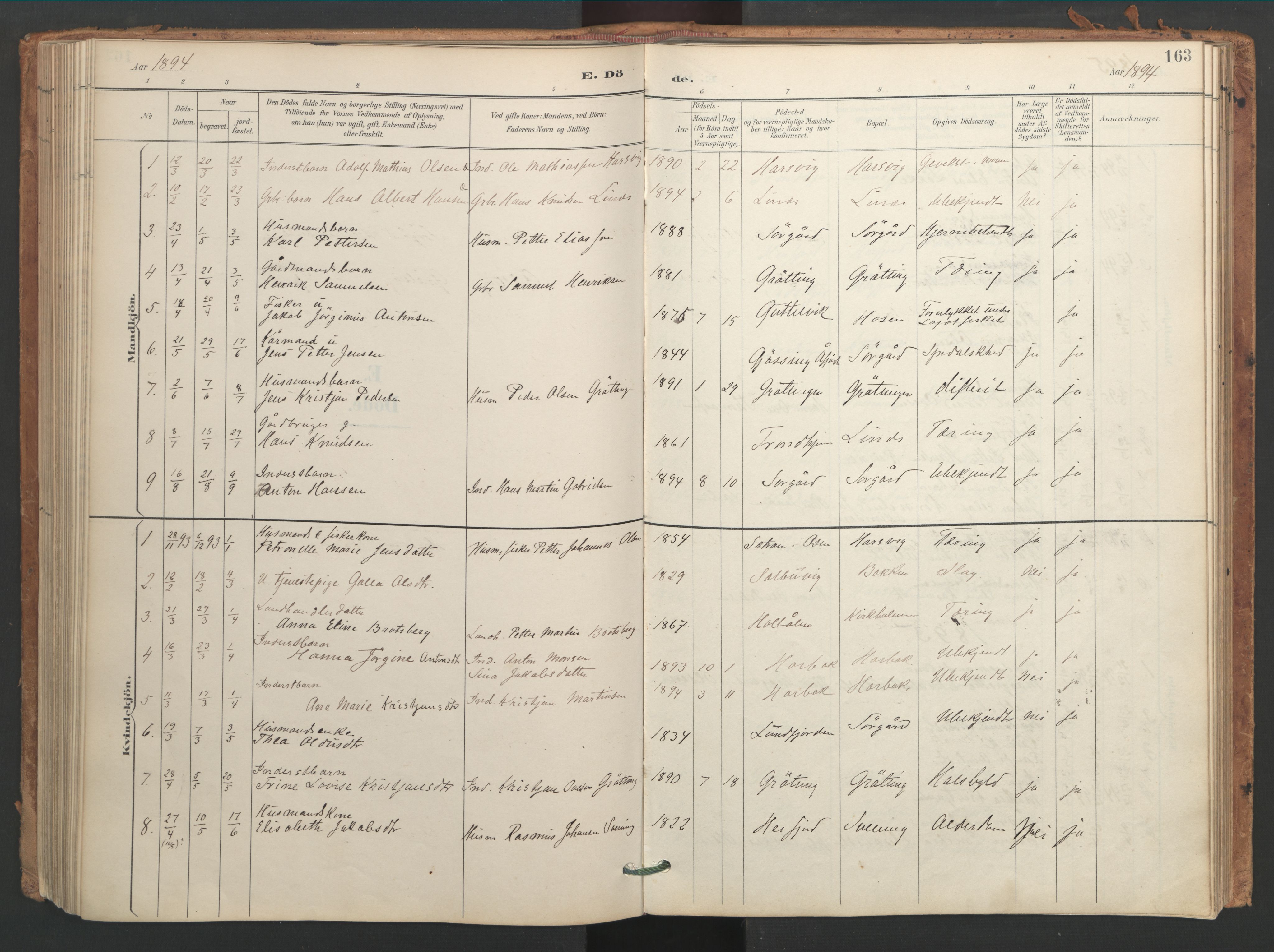 Ministerialprotokoller, klokkerbøker og fødselsregistre - Sør-Trøndelag, SAT/A-1456/656/L0693: Parish register (official) no. 656A02, 1894-1913, p. 163