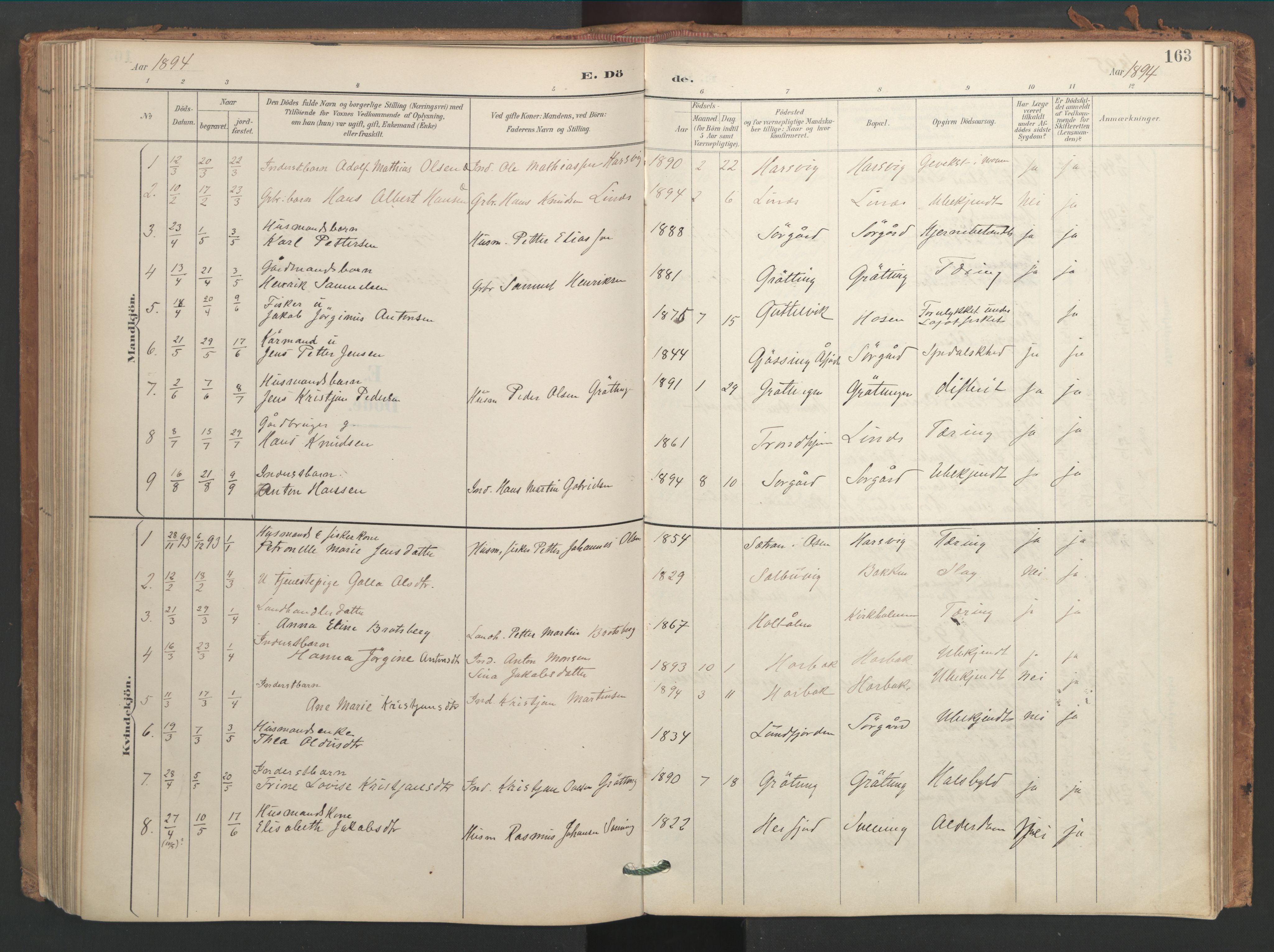 Ministerialprotokoller, klokkerbøker og fødselsregistre - Sør-Trøndelag, AV/SAT-A-1456/656/L0693: Parish register (official) no. 656A02, 1894-1913, p. 163