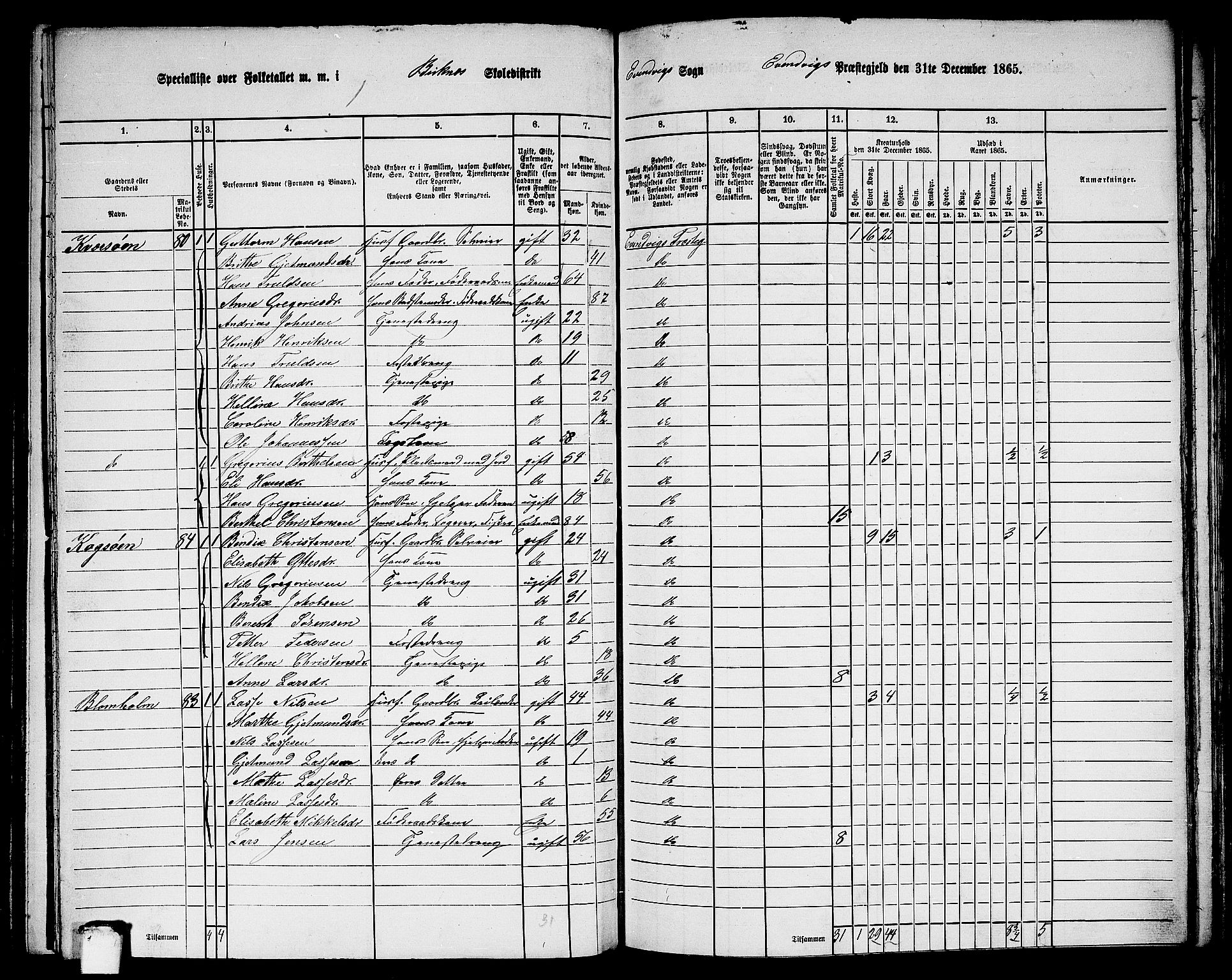 RA, 1865 census for Eivindvik, 1865, p. 115