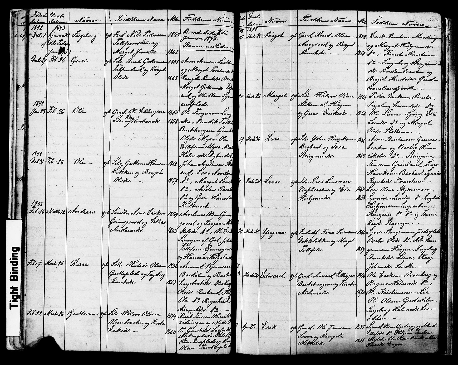 Nes kirkebøker, AV/SAKO-A-236/G/Ga/L0003: Parish register (copy) no. I 3, 1889-1909