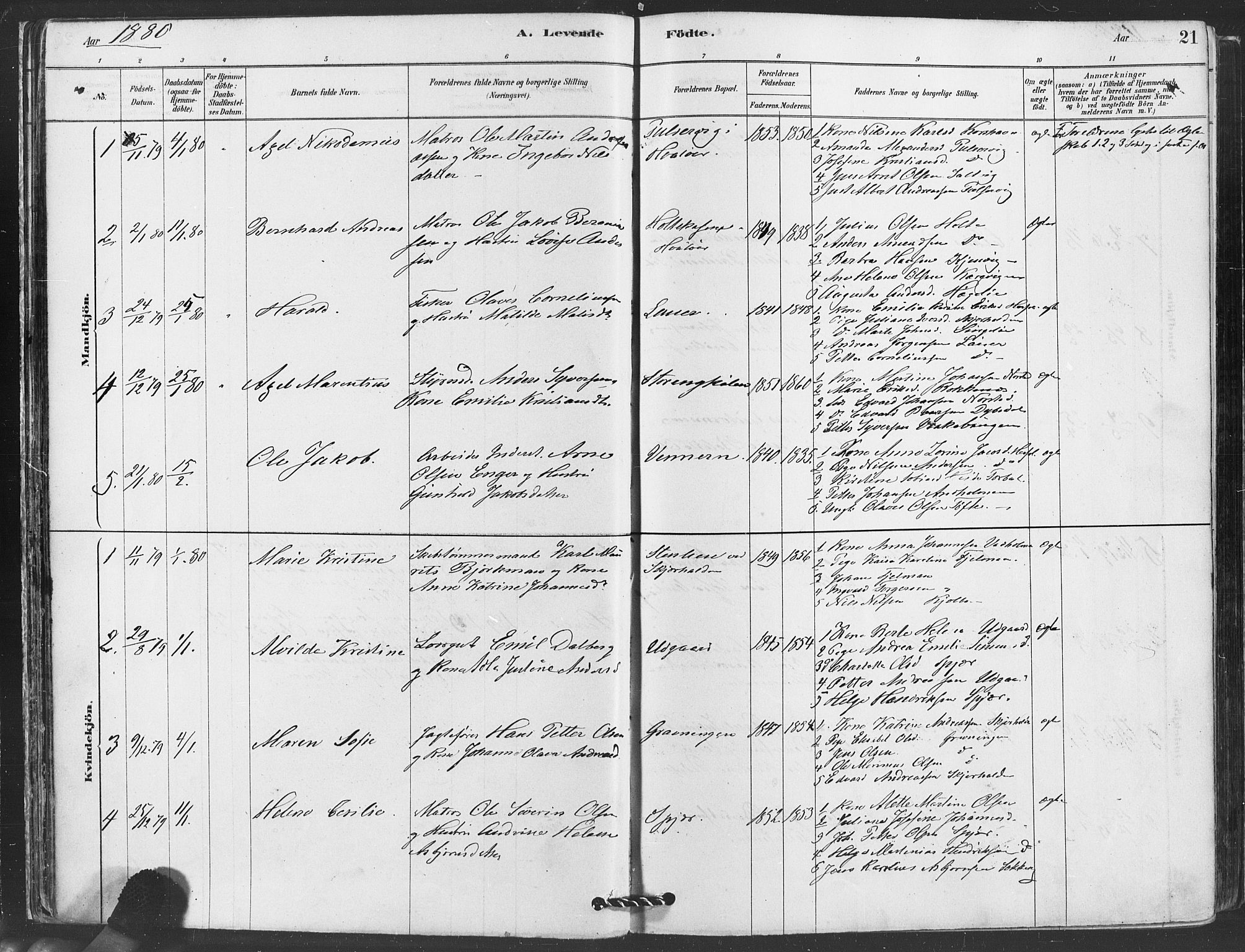 Hvaler prestekontor Kirkebøker, SAO/A-2001/F/Fa/L0008: Parish register (official) no. I 8, 1878-1895, p. 21