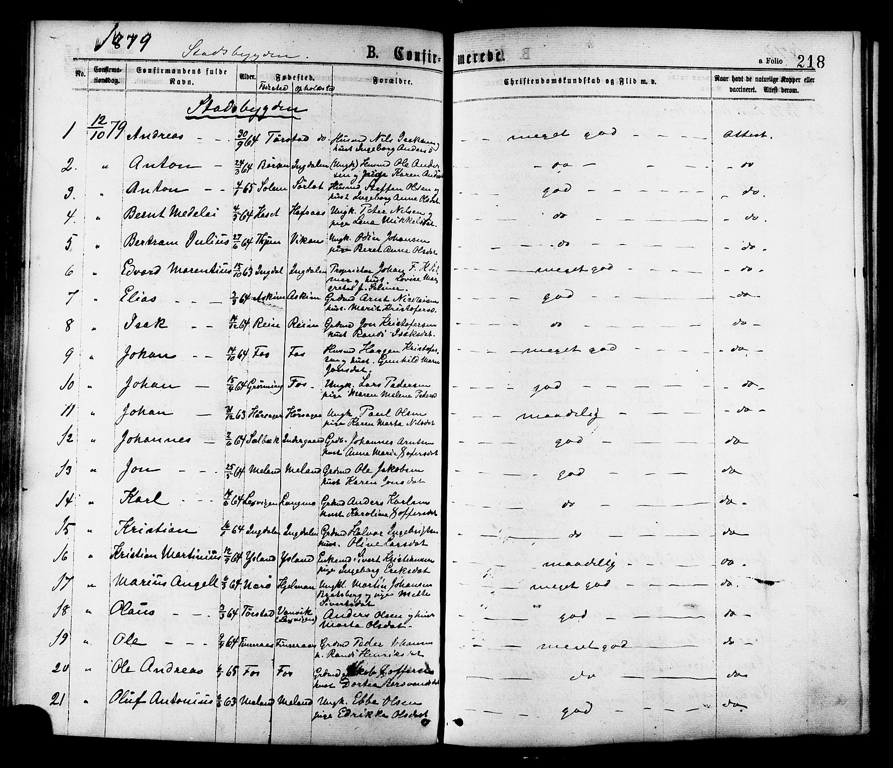 Ministerialprotokoller, klokkerbøker og fødselsregistre - Sør-Trøndelag, AV/SAT-A-1456/646/L0613: Parish register (official) no. 646A11, 1870-1884, p. 218