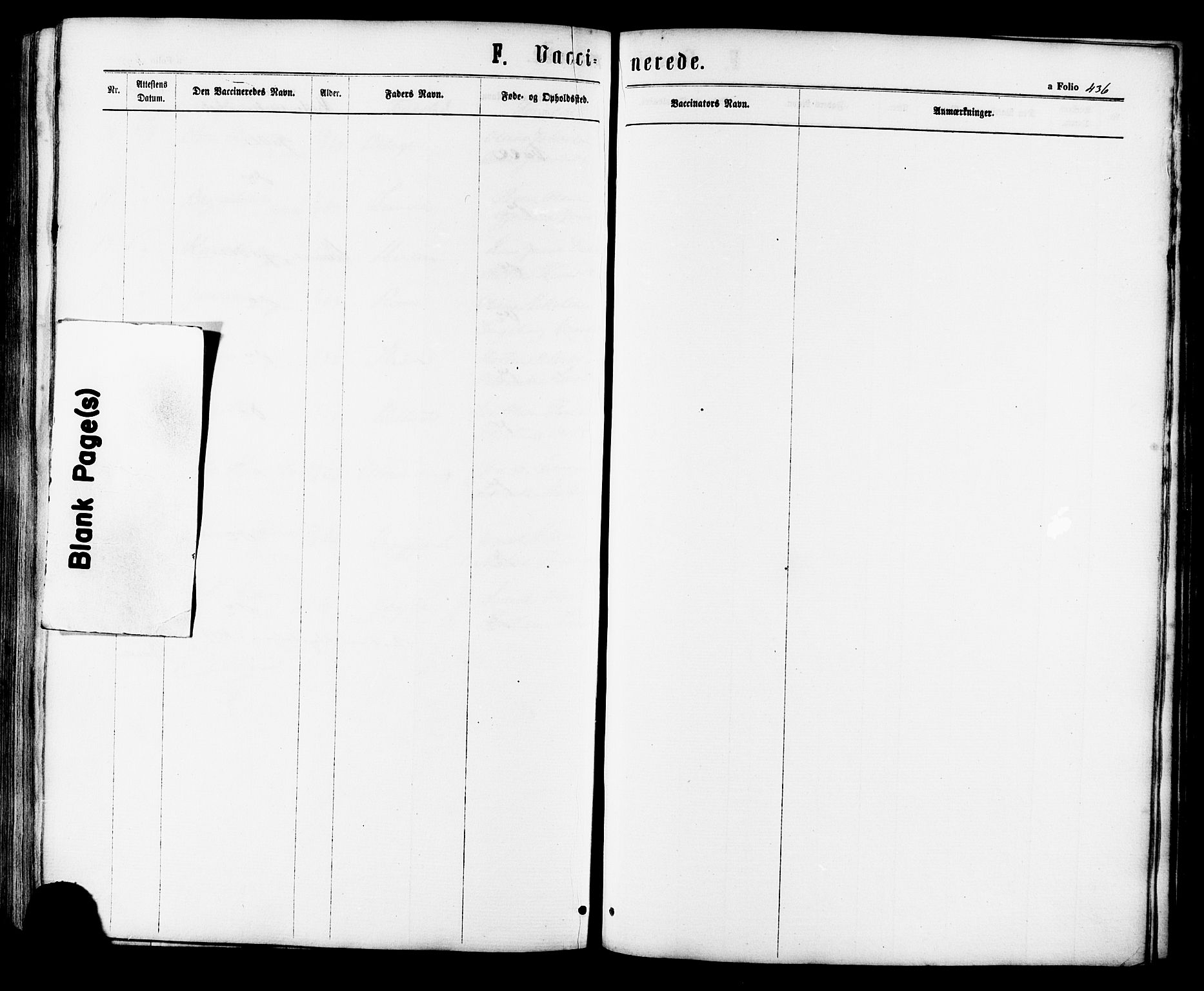 Ministerialprotokoller, klokkerbøker og fødselsregistre - Sør-Trøndelag, AV/SAT-A-1456/657/L0706: Parish register (official) no. 657A07, 1867-1878, p. 436